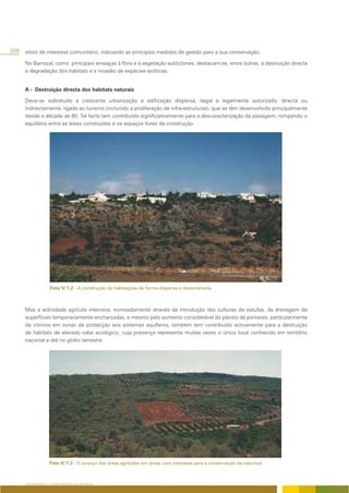 308 sítios de interesse comunitário, indicando as principais medidas de gestão para a sua conservação.

      No Barrocal, como principais ameaças à flora e à vegetação autóctones, destacam-se, entre outras, a destruição directa
      e degradação dos habitats e a invasão de espécies exóticas.


      A - Destruição directa dos habitats naturais

      Deve-se sobretudo à crescente urbanização e edificação dispersa, ilegal e legalmente autorizada, directa ou
      indirectamente, ligada ao turismo (incluindo a proliferação de infra-estruturas), que se têm desenvolvido principalmente
      desde a década de 80. Tal facto tem contribuído significativamente para a descaracterização da paisagem, rompendo o
      equilíbrio entre as áreas construídas e os espaços livres de construção.




                   Foto V/1.2 - A construção de habitações de forma dispersa e desordenada.



      Mas a actividade agrícola intensiva, nomeadamente através da introdução das culturas de estufas, da drenagem de
      superfícies temporariamente encharcadas, e mesmo pelo aumento considerável do plantio de pomares, particularmente
      de citrinos em zonas de protecção aos sistemas aquíferos, também tem contribuído activamente para a destruição
      de habitats de elevado valor ecológico, cuja presença representa muitas vezes o único local conhecido em território
      nacional e até no globo terrestre.




                   Foto V/1.3 - O avanço das áreas agrícolas em áreas com interesse para a conservação da natureza.



      ORDENAMENTO E CONSERVAÇÃO DA NATUREZA
 