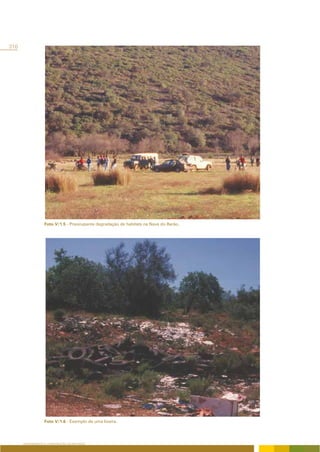 310




                  Foto V/1.5 - Preocupante degradação de habitats na Nave do Barão.




                  Foto V/1.6 - Exemplo de uma lixeira.




      ORDENAMENTO E CONSERVAÇÃO DA NATUREZA
 