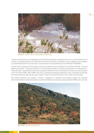 313




          Foto V/2.1 - Aspecto de um troço da Ribeira de Quarteira.


 Proposto inicialmente com a designação de Rocha da Pena-Espargal e, posteriormente, com o nome de Barrocal, foi
incluído, na proposta preliminar da Lista Nacional de Sítios (Continente) no Caldeirão, onde a realidade morfo-ecológica
é completamente distinta. Por essa razão, na segunda fase foi individualizado do Sítio Caldeirão (PTCON0057).

A testemunhar o elevado valor biocenótico, refira-se que este Sítio inclui os biótopos Corine “Barrocal de Alte”, “Gruta da
Igrejinha dos Soidos”, “Grutas da salustreira” e “Gruta da Rocha da Pena” e os sítios já classificados “Fonte Benémola” e
“Rocha da Pena”, apresentando mais de três dezenas de habitats do Anexo I da Directiva, dos quais seis são prioritários
(3170, 6110, 6210, 6220, 7220 e 9560), bem como a presença de espécies endémicas e raras, ameaçadas de extinção
em território Nacional, algumas das quais integram o Anexo II da mesma Directiva, com o estatuto de prioritárias.

Dos habitas presentes que integram o Anexo I, destaque-se a existência dos bosques réliquos de carvalhais
termomediterrâneos marcescentes de Quercus broteroi (9240) e de zimbros de Juniperus turbinata (9560), bem como das




          Foto V/2.2 - Panorâmica do Barrocal.


                                                                                             ORDENAMENTO E CONSERVAÇÃO DA NATUREZA
 