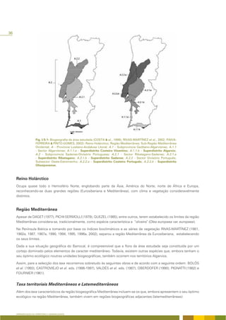 36




                     Fig. I/5.1- Biogeografia da área estudada (COSTA & al., 1999); RIVAS-MARTÍNEZ et al., 2002; PAIVA-
                     FERREIRA & PINTO-GOMES, 2002): Reino Holárctico; Região Mediterrânea; Sub-Região Mediterrânea
                     Ocidental; A - Provincia Lusitano-Andalusa Litoral; A.1 - Subprovincia Gaditano-Algarviense; A.1.1
                     - Sector Algarviense; A.1.1.a - Superdistrito Costeiro Vicentino; A.1.1.b - Superdistrito Algarvio;
                     A.2 - Subprovincia Sadense-Divisório Portuguesa; A.2.1 - Sector Ribatagano-Sadense; A.2.1.a
                     - Superdistrito Ribatagano; A.2.1.b - Superdistrito Sadense; A.2.2 - Sector Divisório Português;
                     Subsector Oeste-Estremenho; A.2.2.a - Superdistrito Costeiro Português; A.2.2.b - Superdistrito
                     Olissiponense.



     Reino Holárctico
     Ocupa quase todo o Hemisfério Norte, englobando parte da Ásia, América do Norte, norte de África e Europa,
     reconhecendo-se duas grandes regiões (Eurosiberiana e Mediterrânea), com clima e vegetação consideravelmente
     distintos.



     Região Mediterrânea
     Apesar de DAGET (1977), PICHI-SERMOLLI (1979), QUEZEL (1985), entre outros, terem estabelecido os limites da região
     Mediterrânea considera-se, tradicionalmente, como espécie característica a “oliveira” (Olea europaea var. europaea).

     Na Península Ibérica e tomando por base os índices bioclimáticos e as séries de vegetação RIVAS-MARTÍNEZ (1981,
     1982a, 1987, 1987a, 1990, 1994, 1995, 1996a, 2002), separou a região Mediterrânea da Eurosiberiana, estabelecendo
     os seus limites.

     Dada a sua situação geográfica do Barrocal, é compreensível que a flora da área estudada seja constituída por um
     cortejo dominado pelos elementos de caracter mediterrâneo. Todavia, existem outras espécies que, embora tenham o
     seu óptimo ecológico noutras unidades biogeográficas, também ocorrem nos territórios Algarvios.

     Assim, para a selecção dos taxa recorremos sobretudo às seguintes obras e de acordo com a seguinte ordem: BOLÓS
     et al. (1993), CASTROVIEJO et al. eds. (1986-1997), VALDÉS et al. eds. (1987), OBERDOFER (1990); PIGNATTI (1982) e
     FOURNIER (1961).


     Taxa territoriais Mediterrâneos e Latemediterrâneos
     Além dos taxa característicos da região biogeográfica Mediterrânea incluem-se os que, embora apresentem o seu óptimo
     ecológico na região Mediterrânea, também vivem em regiões biogeográficas adjacentes (latemediterrâneas):




     APRESENTAÇÃO DO TERRITÓRIO E GENERALIDADES
 