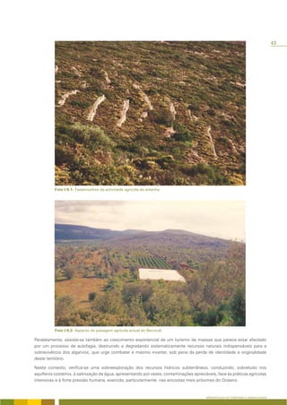 43




          Foto I/6.1- Testemunhos da actividade agrícola de antanho.




          Foto I/6.2- Aspecto da paisagem agrícola actual do Barrocal.

Paralelamente, assiste-se também ao crescimento exponencial de um turismo de massas que parece estar afectado
por um processo de autofagia, destruindo e degradando sistematicamente recursos naturais indispensáveis para a
sobrevivência dos algarvios, que urge combater e mesmo inverter, sob pena da perda de identidade e originalidade
deste território.

Neste contexto, verifica-se uma sobreexploração dos recursos hídricos subterrâneos, conduzindo, sobretudo nos
aquíferos costeiros, à salinização da água, apresentando por vezes, contaminações apreciáveis, face às práticas agrícolas
intensivas e à forte pressão humana, exercida, particularmente nas encostas mais próximas do Oceano.


                                                                                         APRESENTAÇÃO DO TERRITÓRIO E GENERALIDADES
 