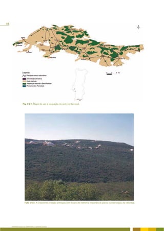 44




                  Fig. I/6.1- Mapa de uso e ocupação do solo no Barrocal.




                    Foto I/6.3- A crescente pressão antrópica em locais de extrema importância para a conservação da natureza.




     APRESENTAÇÃO DO TERRITÓRIO E GENERALIDADES
 