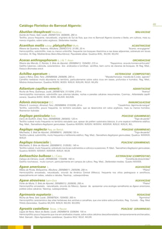 49
Catálogo Florístico do Barrocal Algarvio:
Abutilon theophrasti Medikus                                                                                                  MALVACEAE
Quinta do Freixo, Salir, Loulé; 29SNB7724; 30/08/95; 260 m.
Terófito, pouco frequente, naturalizado, originário do Sul da Ásia, que vive no Barrocal Algarvio durante o Verão, em cultivos, mais ou
menos irrigados, sobre solos argilosos; Stellarietea mediae.

Acanthus mollis subsp. platyphyllos Murb.                                                                                 ACANTHACEAE
Ribeira de Quarteira, Paderne, Albufeira; 295NO7310, 3/1/95; 20 m.                                            “Acanto; erva-gigante”
Hemicriptófito, subnitrófilo, mais ou menos umbrófilo, frequente nos bosques ribeirinhos e nas áreas adjacentes, sobretudo em locais
húmidos; W. Reg. Mediterrânea (Ibero-Mauritânica); Populetalia albae; Quadros III/XL; III/LXIV; III/LXVI.

Aceras anthropophorum (L.) W. T. Aiton                                                                                     ORCHIDACEAE
Ribeira das Mercês, S. Romão, S. Brás de Alportel; 29SNB9413; 15/04/93; 210 m.            “Rapazinhos; erva-do-homem-enforcado”
Geófito tuberoso, calcícola, característico dos arrelvados e tomilhais xerófilos, bem como de clareiras de bosques; W. Reg. Med.;
Festuco-Brometea erecti.

Achillea ageratum               L.                                                                      ASTERACEAE (COMPOSITAE)
Lagos e Relva, Estoi, Faro; 29SNB9508; 29/08/96; 200 m.                                    “Macela-francesa; macela-de-S.João; agerato”
Caméfito herbáceo muito abundante no território, particularmente sobre solos ricos em bases, profundos e húmidos; Reg. Med.;
Molinio-Holoschoenion; Quadros III/XXIV; III/XXV; III/XLIV; III/XLVIII; III/LVI; III/LXIV.


Adiantum capillus-veneris L.                                                                                                ADIANTACEAE
Rocha de Pena, Querença, Loulé; 29SNB7424, 31/10/94; 270 m.                                                              “Avenca”
Hemicriptófito rizomatoso, subnitrófilo que coloniza taludes, rochas e paredes calcárias ressumantes; Cosmop.; Adiantetalia capilli-
veneris; Quadros III/XVI; III/XIX; III/XXI; III/LXVII; III/LXVIII.

Adonis microcarpa D.C.                                                                                                 RANUNCULACEAE
Ribeira S. Lourenço, Almansil, Faro; 29SNB8804; 01/03/96; 20 m.                                  “Casadinhos; lágrima-de-sangue”
Terófito, subnitrófilo, pouco frequente, no território estudado, que se desenvolve em solos argilosos, mais ou menos húmidos;
Roemerion hybridae.

Aegilops geniculata Roth.                                                                                      POACEAE (GRAMINEAE)
Cerro do Guilhim, Estoi, Faro; 29SNB9506; 28/04/93; 120 m.                                                                    “Trigo-de-perdiz”
Terófito ruderal muito frequente no território estudado que, apesar de preferir substratos básicos, é uma espécie indiferente edáfica;
Reg. Med.; Taeniathero-Aegilopion geniculatae; Quadros III/XXXIV; III/XXXV; III/XXXVI; III/XXXVII; III/XLVI; III/XLIX; III/L.

Aegilops neglecta Req. ex Bertol.                                                                              POACEAE (GRAMINEAE)
Machados, S. Brás de Alportel; 29SNB9810, 28/05/96;130 m.                                                               “Trigo-de-perdiz”
Terófito ruderal, subnitrófilo, muito frequente e indiferente edáfico; Reg. Med.; Taeniathero-Aegilopion geniculatae; Quadros III/XXXVII;
III/XLVI.

Aegilops triuncialis L.                                                                                        POACEAE (GRAMINEAE)
Machados, S. Brás de Alportel; 29SNB9810; 31/05/93; 140 m.
Terófito ruderal, muito frequente, sobretudo nos locais submetidos a cultivos e a pastoreio; R. Med.; Taeniathero-Aegilopion geniculatae;
Quadros III/XXXV; III/XXXVI; III/XXXVII; III/XLVI; III/LIII.

Aetheorhiza bulbosa (L.) Cass.                                                                           ASTERACEAE (COMPOSITAE)
Cabeça da Câmara, Loulé; 29SNB8308; 17/04/96; 160 m.                                                   “Condrila-de-dioscórides”
Geófito rizomatoso, muito comum, particularmente em campos de cultivo; Reg. Med.; Stellarietea mediae; Quadro III/XXXIX.

Agave americana               L.                                                                                              AGAVACEAE
Matos da Picota, Boliqueime, Albufeira; 29SNB8011; 29/05/96; 200 m.                                                “Piteira”
Hemicriptófito arrosetado, naturalizado, oriundo da América Central (México), frequente nos sítios pedregosos e xerofíticos,
especialmente em sebes, valados e taludes; Neotrop.; subespontânea.

Agave atrovirens Salm-Dick                                                                                                    AGAVACEAE
Fonte de Murta, S. Brás de Alportel; 29SNB9312; 20/06/95; 200 m.                                                    “Piteira”
Hemicriptófito arrosetado, naturalizado, oriundo do México; Apesar de apresentar uma ecologia semelhante ao Agave americana,
prefere solos calcários; Neotrop; subespontânea.

Agrimonia eupatoria L.                                                                                                          ROSACEAE
Rocha da Pena, Salir, Loulé; 29SNB7924; 15/04/93; 300 m.                                                                   “Agrimónia”
Hemicriptófito característico das orlas herbáceas dos azinhais e carvalhais, que vive sobre solos profundos; Reg. Eurosib. - Reg. Med.
Trifolio-Geranietea; Quadros III/LXVII; III/XLIV; III/LXIV; III/LXXIV.

Agrostis castellana                Boiss. & Reuter                                                             POACEAE (GRAMINEAE)
Lagoa de Nave, Nave do Barão, Loulé; 29SNB8419; 03/06/94; 155 m.
Hemicriptófito pouco frequente que vive em arrelvados vivazes, sobre solos calcários descarbonatados, temporariamente encharcados;
Med. Iberoatl.; Stipo-Agrostietea castellanae; Quadros III/LV; III/LVI; III/LVIII.


                                                                                                                                        A FLORA
 