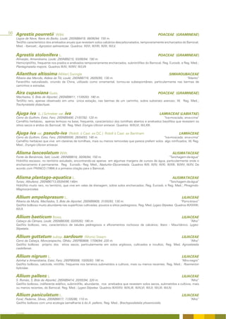 50 Agrostis pourretii Willd.                                                                                   POACEAE (GRAMINEAE)
   Lagoa de Nave, Nave do Barão, Loulé; 29SNB8419; 08/06/94; 155 m.
   Terófito característico dos arrelvados anuais que revestem solos calcários descarbonatados, temporariamente encharcados do Barrocal;
   Med. - Iberoatl.; Agrostion salmanticae. Quadros: III/VI; III/VIII; III/IX; III/LV.


   Agrostis stolonifera L.                                                                                     POACEAE (GRAMINEAE)
   Almarjão, Amendoeira, Loulé; 29SNB9215; 03/06/94; 190 m.
   Hemicriptófito, frequente nos prados e arrelvados temporariamente encharcados, subnitrófilos do Barrocal; Reg. Eurosib. e Reg. Med.;
   Plantaginetalia majoris. Quadros III/XI; III/XIV; III/LVII.

   Ailanthus altissima (Miller) Swingle                                                                                 SIMAROUBACEAE
   Ribeira das Mercês, Aldeia da Tôr, Loulé; 29SNB8716; 26/05/95; 130 m.                                                “Ailanto”
   Fanerófito naturalizado, oriundo da China, utilizado como ornamental, tornou-se subespontâneo, particularmente nas bermas de
   caminhos e estradas.

   Aira cupaniana Guss.                                                                                        POACEAE (GRAMINEAE)
   Machados, S. Brás de Alportel; 29SNB9811; 11/05/93; 180 m.
   Terófito raro, apenas observado em uma única estação, nas bermas de um caminho, sobre substrato arenoso; W. Reg. Med.;
   Trachynietalia distachyae.


   Ajuga iva       (L.) Schreber var. iva                                                                       LAMIACEAE (LABIATAE)
   Cerro do Guilhim, Estoi, Faro; 29SNB9406; 21/07/92; 120 m.                                               “Iva-moscada; erva-crina”
   Caméfito herbáceo, apenas lenhoso na base, frequente, característico dos tomilhais abertos e arrelvados basófilos que revestem os
   sítios secos e áridos do Barrocal; W. Reg. Med. Eryngio-Ulicion erinacei. Quadros III/XLVI; III/LXIII.

   Ajuga iva var. pseudo-iva               (Robill. & Cast. ex DC.) Robill & Cast. ex Bentham                                  LAMIACEAE
   Cerro do Guilhim, Estoi, Faro; 29SNB9506; 28/04/93; 140 m.                                              “Iva-moscada; erva-crina”
   Caméfito herbáceo que vive em clareiras de tomilhais, mais ou menos removidas que parece preferir solos algo nitrificados; W. Reg.
   Med.; Eryngio-Ulicion erinacei.

   Alisma lanceolatum With.                                                                                               ALISMATACEAE
   Fonte da Benémola, Salir, Loulé; 29SNB8818; 30/06/94; 150 m.                                                     “Tanchagem-da-água”
   Hidrófito escasso, no território estudado, encontrando-se apenas em algumas margens de cursos de água, particularmente onde o
   encharcamento é permanente. Reg. Eurosib.- Reg. Med.; Nasturtio-Glycerietalia. Quadros III/II; III/IV; III/XI; III/XIII; III/XIV; III/XV. De
   acordo com FRANCO (1994) é a primeira citação para o Barrocal.


   Alisma plantago-aquatica L.                                                                                            ALISMATACEAE
   Tunes; Albufeira; 29SNB6713;05/04/96;140m.                                                                    “Tanchagem-da-água”
   Hidrófito muito raro, no território, que vive em valas de drenagem, sobre solos encharcados; Reg. Eurosib. e Reg. Med.; Phragmito-
   Magnocaricetea.

   Allium ampeloprasum L.                                                                                                         LILIACEAE
   Ribeira da Murta, Machados, S. Brás de Alportel; 29SNB9909; 31/05/93; 130 m.                                          “Porro-bravo”
   Geófito bolboso muito abundante nas superfícies cultivadas, pousios e sítios pedregosos; Reg. Med. Lygeo-Stipetea. Quadros III/XXXIII;
   III/LII.

   Allium baeticum Boiss.                                                                                                         LILIACEAE
   Cabeço da Câmara, Loulé; 29SNB8308; 03/05/93; 180 m.                                                                   “Alho”
   Geófito bolboso, raro, característico de taludes pedregosos e afloramentos rochosos de calcários; Ibero - Mauritânico. Lygeo-
   Stipetalia.

   Allium guttatum subsp. sardoum                      (Moris) Stearn                                                             LILIACEAE
   Cerro da Cabeça, Moncarapacho, Olhão; 29SPB0808; 17/06/94; 220 m.                                                   “Alho”
   Geófito bolboso próprio dos sítios secos, particularmente em solos argilosos, cultivados e incultos; Reg. Med. Agrostietalia
   castellanae.

   Allium nigrum L.                                                                                                               LILIACEAE
   Azinhal e Amendoeira, Estoi, Faro; 29SPB0008; 10/05/93; 180 m.                                                         “Alho-negro”
   Geófito bolboso, calcícola, nitrófilo, frequente nos terrenos submetidos a cultivos, mais ou menos recentes; Reg. Med.; Roemerion
   hybridae.

   Allium pallens L                                                                                                               LILIACEAE
   S. Romão, S. Brás de Alportel; 29SNB9414; 20/05/94; 320 m.                                                                    “Alho”
   Geófito bolboso, indiferente edáfico, subnitrófilo, abundante, nos arrelvados que revestem solos secos, submetidos a cultivos, mais
   ou menos recentes, do Barrocal; Reg. Med.; Lygeo-Stipetea. Quadros III/XXXV; III/XLIII; III/XLVI; III/LII; III/LIII; III/LIV.

   Allium paniculatum L.                                                                                                          LILIACEAE
   Foral; Paderne, Silves; 29SNB6617; 11/05/96; 110 m.                                                                                  “Alho”
   Geófito bolboso com uma ecologia semelhante à do A. pallens; Reg. Med.; Brachypodietalia phoenicoidis.


   A FLORA
 