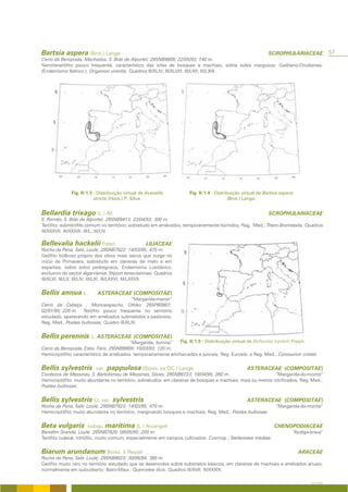 Bartsia aspera (Brot.) Lange                                                                                SCROPHULARIACEAE              57
Cerro da Bemposta, Machados, S. Brás de Alportel; 29SNB9809; 22/05/93; 140 m.
Nanofanerófito pouco frequente, característico das orlas de bosques e machiais, sobre solos margosos; Gaditano-Onubense;
(Endemismo Ibérico ); Origanion virentis; Quadros III/XLIV; III/XLVIII; III/LXII; III/LXIII.




              Fig. II/1.3 - Distribuição virtual de Avenella         Fig. II/1.4 - Distribuição virtual de Bartsia aspera
                          stricta (Hack.) P. Silva.                                       (Brot.) Lange.


Bellardia trixago (L.) All.                                                                                 SCROPHULARIACEAE
S. Romão, S. Brás de Alportel; 29SNB9413; 23/04/93; 300 m.
Terófito subnitrófilo comum no território, sobretudo em arrelvados, temporariamente húmidos; Reg. Med.; Thero-Brometalia; Quadros
III/XXXVII; III/XXXIX; III/L; III/LIV.

Bellevalia hackelii Freyn                          LILIACEAE
Rocha da Pena, Salir, Loulé; 29SNB7923; 14/03/95; 470 m.
Geófito bolboso próprio dos sítios mais secos que surge no
início da Primavera, sobretudo em clareiras de mato e em
espartais, sobre solos pedregosos; Endemismo Lusitânico,
exclusivo do sector algarviense. Stipion tenacissimae; Quadros
III/XLVI; III/LII; III/LIV; III/LXI; III/LXXVI; III/LXXVII.


Bellis annua L.            ASTERACEAE (COMPOSITAE)
                                          “Margarida-menor”
Cerro da Cabeça , Moncarapacho, Olhão; 29SPB0807;
02/01/95; 220 m. Terófito pouco frequente no território
estudado, aparecendo em arrelvados submetidos a pastoreio;
Reg. Med., Poetea bulbosae; Quadro III/XLIX.


Bellis perennis         L. ASTERACEAE (COMPOSITAE)
                                           “Margarida; bonina”  Fig. II/1.5 - Distribuição virtual de Bellevalia hackelii Freyn.
Cerro da Bemposta, Estoi, Faro; 29SNB9809; 10/03/93; 120 m;
Hemicriptófito característico de arrelvados temporariamente encharcados e juncais; Reg. Eurosib. e Reg. Med.; Cynosurion cristati.


Bellis sylvestris         var.   pappulosa (Boiss. ex DC.) Lange                                 ASTERACEAE (COMPOSITAE)
Cordeiros de Messines, S. Bartolomeu de Messines, Silves; 29SNB6723; 19/04/95; 260 m.                       “Margarida-do-monte”
Hemicriptófito muito abundante no território, sobretudos em clareiras de bosques e machiais, mais ou menos nitrificados; Reg. Med.;
Poetea bulbosae.


Bellis sylvestris Cr. var. sylvestris                                                            ASTERACEAE (COMPOSITAE)
Rocha da Pena, Salir, Loulé; 29SNB7923; 14/03/95; 470 m.                                                        “Margarida-do-monte”
Hemicriptófito muito abundante no território, marginando bosques e machiais. Reg. Med.; Poetea bulbosae.


Beta vulgaris         subsp.     maritima (L.) Arcangeli                                                       CHENOPODIACEAE
Benafim Grande, Loulé; 29SNB7820; 08/05/95; 200 m.                                                                      “Acelga-brava”
Terófito ruderal, nitrófilo, muito comum, especialmente em campos cultivados; Cosmop.; Stellarietea mediae.


Biarum arundanum Boiss. & Reuter                                                                                            ARACEAE
Rocha da Pena, Salir, Loulé; 29SNB8023; 30/06/94; 380 m.
Geófito muito raro no território estudado que se desenvolve sobre substratos básicos, em clareiras de machiais e arrelvados anuais,
normalmente em subcoberto; Ibero-Maur.; Quercetea ilicis; Quadros III/XVII; III/XXXIX.

                                                                                                                                A FLORA
 