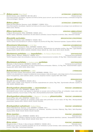 58 Bidens aurea (Aiton) Sherff                                                                                        ASTERACEAE (COMPOSITAE)
    Benafim Grande, Loulé; 29SNB7820; 08/11/94; 240 m.                                                                “Chá-de-marrocos”
    Proto-Hemicriptófito naturalizado, originário da América Central, pouco comum, que vive em locais húmidos e nitrificados de algumas
    linhas de drenagem; Neotrop.


    Bidens pilosa L.                                                                                                  ASTERACEAE (COMPOSITAE)
    Ribeira da Fonte Menaval, Querença, Loulé; 29SNB8817; 15/09/95; 120 m.
    Proto-Hemicriptófito naturalizado, originário da América do Sul, pouco frequente, que apresenta uma ecologia muito semelhante à do
    Bidens aurea; Neotrop.


    Bifora testiculata (L.) Roth                                                                                         APIACEAE (UMBELLIFERAE)
    S. Miguel, Moncarapacho, Olhão; 29SPB0408; 10/05/95; 220 m.                                                            “Coentros-bravos”
    Terófito ruderal, subnitrófilo, característico de solos básicos cultivados, é pouco frequente no território; Med.; Roemerion hybridae.


    Biscutella auriculata L.                                                                                         BRASSICACEAE (CRUCIFERAE)
    Fonte Filipe, Amendoeira, Loulé; 29SNB9215; 15/04/93; 180 m.
    Terófito ruderal muito abundante em cultivos e margens de caminhos W. Reg. Med., Roemerion hybridae; Quadros III/XXVII; III/XXXIV.


    Bituminaria bituminosa                       (L.) C.H. Stirt.                                                        FABACEAE (LEGUMINOSAE)
    Cerro da Cabeça, Moncarapacho, Olhão; 29SPB0807; 05/05/93; 200 m.                                                                          “Trevo-bituminoso”
    Hemicriptófito muito abundante no território, em sítios térmicos, especialmente em arrelvados nitrófilos. Reg. Med.; Lygeo-Stipetea;
    Quadros III/XXIV; III/XXV; III/XXVI; III/XXXVII; III/XXXVIII; III/XLVI; III/XLVII; III/L; III/LII; III/LIII; III/LIV; III/LXII; III/LXXIV.


    Blackstonia perfoliata subsp. imperfoliata (L. fil.) Franco & Rocha Afonso                                                            GENTIANACEAE
    Malhão, Paderne, Albufeira; 29SNB7212; 19/05/94; 150 m.                                              “Centaurea-menor-perfolhada”
    Terófito frequente, próprio dos arrelvados e clareiras de matos, temporariamente inundados. W. Reg. Med.; Holoschoenetalia vulgaris.



    Blackstonia perfoliata                   (L.) Hudson subsp. perfoliata                                                                GENTIANACEAE
    Machados, S. Brás de Alportel; 29SNB9810; 03/06/94; 200 m.                                        “Centáurea-menor-perfolhada”
    Terófito muito comum, característico de locais temporariamente encharcados. Atlântico., W. Reg. Med.; Holoschoenetalia vulgaris;
    Quadros III/X; III/XVI; III/XXI; III/XXII; III/XLVI; III/LVI.


    Bolboschoenus maritimus (L.) Palla                                                                                                       CYPERACEAE
    Ribeira das Ondas, Foupana, Moncarapacho, Olhão; 29SPB0809; 29/08/96; 110 m.
    Helófito muito abundante em margens inundadas de cursos de águas e valas de drenagem, onde chega mesmo a formar povoamentos
    quase monospecíficos, sobre substrato calcário; Cosmop. Scirpenion maritimi; Quadros III/XI; III/XII; III/XIV.


    Borago officinalis L.                                                                                                                BORAGINACEAE
    Mesquita, Salir, Loulé; 29SNB8618; 26/04/93; 260 m.                                                                           “Borragem”
    Terófito ruderal, nitrófilo, muito frequente no território, especialmente em cultivos. Reg. Med.; Sisymbrietalia officinalis; Quadros III/
    XXIV; III/XXVI; III/XXXVIII; III/XLI.


    Brachypodium phoenicoides                             var. mucronatum Willk                                               POACEAE (GRAMINEAE)
    Rocha da Pena, Salir, Loulé; 29SNB8023; 30/06/94; 380 m.
    Hemicriptófito pouco comum que apenas foi observado na encosta norte da Rocha da Pena, em arrelvados vivazes sobre solos
    margosos profundos, ricos em bases. W. Reg. Med.; Brachypodietalia phoenicoidis; Quadro III/LXXII.


    Brachypodium phoenicoides (L.) Roemer &                                  Schultes var.    phoenicoides                    POACEAE (GRAMINEAE)
    Rocha da Pena, Salir, Loulé; 29SNB7924; 10/09/95; 300 m.
    Hemicriptófito comum, sobretudo em arrelvados vivazes sobre solos profundos, ricos em bases. W. Reg. Med.; Brachypodietalia
    phoenicoidis; Quadros III/XLI; III/XLVII; III/LXVI; III/LXVII; III/LXXVII.


    Brachypodium sylvaticum                          (Hudson) Beauv.                                                          POACEAE (GRAMINEAE)
    Ribeira Fonte Benémola, Querença, Loulé; 29SNB8817; 03/09/96; 130 m.
    Hemicriptófito frequente em bosques ribeirinhos e em ambientes esciófilos e húmidos. Paleotrop. (Reg. Med.); Salici-Populetea;
    Quadros III/XVI; III/LVIII; III/LXIV; III/LXVI; III/LXVII; III/LXVIII.

    Briza maxima L.                                                                                                           POACEAE (GRAMINEAE)
    Rocha da Pena, Salir, Loulé; 29SNB8023; 30/06/94; 380 m.                                                        “Bole-bole-maior”
    Terófito comum em arrelvados e clareiras de matos, particularmente sobre substrato dolomítico; Latemed.; Trachynietalia distachyae;
    Quadros III/XXXVII; III/XLI; III/XLIII; III/XLVII; III/XLVIII; III/LIII; III/LV.

    Briza minor L.                                                                                                            POACEAE (GRAMINEAE)
    Morgado de Apra, S. Romão, S. Brás de Alportel; 29SNB9312; 10/05/95; 240 m.                                 “Bole-bole-menor”
    Terófito pouco comum na superfície estudada que vive em arrelvados e juncais húmidos, sobre substratos pobres em bases; Reg.
    Eurosib. e Reg. Med.; Trachynietalia distachyae.
    A FLORA
 