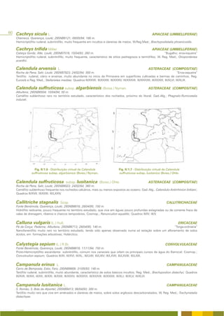 60 Cachrys sicula L.                                                                                            APIACEAE (UMBELLIFERAE)
   Charneca, Querença, Loulé; 29SNB6121; 09/05/94; 180 m.
   Hemicriptófito ruderal, subnitrófilo, muito frequente em incultos e clareiras de matos; W.Reg.Med.; Brachypodietalia phoenicoidis.

   Cachrys trifida Miller                                                                                       APIACEAE (UMBELLIFERAE)
   Cabeça Gorda; Alte; Loulé; 29SNB7516; 15/04/93; 260 m.                                                       “Bugalho; erva-isqueira”
   Hemicriptófito ruderal, subnitrófilo, muito frequente, característico de sítios pedregosos e termófilos; W. Reg. Med.; Onopordenea
   acanthii.

   Calendula arvensis               L.                                                                       ASTERACEAE (COMPOSITAE)
   Rocha da Pena, Salir, Loulé; 29SNB7923; 24/02/94; 300 m.                                                                           “Erva-vaqueira”
   Terófito ruderal, viário e arvense, muito abundante no início da Primavera em superfícies cultivadas e bermas de caminhos; Reg.
   Eurosib e Reg. Med.; Stellarietea mediae; Quadros III/XXVII; III/XXXIII; III/XXXIV; III/XXXVII; III/XXXVIII; III/XXXIX; III/XLVI; III/XLIX.

   Calendula suffruticosa subsp. algarbiensis (Boiss.) Nyman.                                                ASTERACEAE (COMPOSITAE)
   Albufeira; 29SNB6504; 10/04/94; 50 m.
   Caméfito sublenhoso raro no território estudado, característico dos rochedos, próximo do litoral; Gad.-Alg.; Phagnalo-Rumicetalia
   indurati.




                 Fig. II/1.6 - Distribuição virtual de Calendula                     Fig. II/1.7 - Distribuição virtual de Calendula
               suffruticosa subsp. algarbiensis (Boiss.) Nyman.                      suffruticosa subsp. lusitanica (Boiss.) Ohle.


   Calendula suffruticosa                  subsp. lusitanica (Boiss.) Ohle.                                  ASTERACEAE (COMPOSITAE)
   Rocha da Pena, Salir, Loulé; 29SNB8023; 24/02/94; 360 m.
   Caméfito sublenhoso frequente nos rochedos calcários, mais ou menos expostos ao oceano. Gad.-Alg.; Calendulo-Antirrhinion linkiani;
   Quadros III/XVII; III/XXIII; III/LXXIV.


   Callitriche stagnalis                Scop.                                                                               CALLITRICHACEAE
   Fonte Benémola, Querença, Loulé; 29SNB8818; 28/04/95; 150 m.
   Hidrófito radicante, pouco frequente no território estudado, que vive em águas pouco profundas estagnadas ou de corrente fraca de
   valas de drenagem, ribeiros e charcos temporários; Cosmop.; Ranunculion aquatilis; Quadros III/IV; III/V.


   Calluna vulgaris (L.) Hull.                                                                                                       ERICACEAE
   Pé da Corça; Paderne; Albufeira; 29SNB6713; 28/04/95; 140 m.                                                 “Torga-ordinária”
   Nanofanerófito muito raro no território estudado, tendo sido apenas observado numa só estação sobre um afloramento de solos
   ácidos, em formações arbustivas; Holárctico.


   Calystegia sepium (L.) R.Br.                                                                                            CONVOLVULACEAE
   Fonte Benémola, Querença, Loulé; 29SNB8818; 11/11/94; 150 m.
   Proto-Hemicriptófito escandente subnitrófilo, comum nos canaviais que orlam os principais cursos de água do Barrocal; Cosmop.;
   Convolvulion sepium; Quadros III/XI; III/XVI; III/XL; III/LVIII; III/LXIV; III/LXVII; III/LXVIII; III/LXIX.


   Campanula erinus                L.                                                                                       CAMPANULACEAE
   Cerro de Bemposta, Estoi, Faro; 29SNB9809; 31/05/93; 140 m.
   Terófito ruderal, subnitrófilo, muito abundante, característico de solos básicos incultos; Reg. Med.; Brachypodion distachyi; Quadros
   III/XVII; III/XIX; III/XX; III/XXI; III/XXII; III/XXXV; III/XXXVI; III/XXXVII; III/XXXIX; III/XLI; III/XLV; III/XLVI.


   Campanula lusitanica L.                                                                                                  CAMPANULACEAE
   S. Romão, S. Brás de Alportel; 29SNB9413; 06/04/93; 300 m.
   Terófito muito raro que vive em arrelvados e clareiras de matos, sobre solos argilosos descarbonatados; W. Reg. Med.; Trachynietalia
   distachyae.



   A FLORA
 