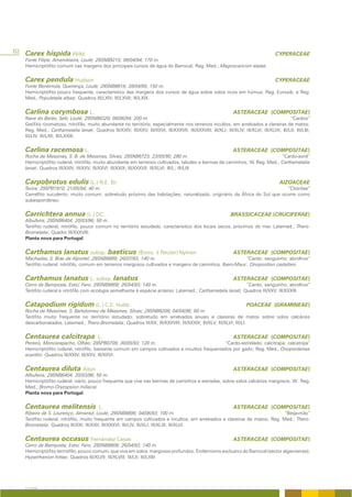 62 Carex hispida Willd.                                                                                                                  CYPERACEAE
   Fonte Filipe, Amendoeira, Loulé; 29SNB9215; 08/04/94; 170 m.
   Hemicriptófito comum nas margens dos principais cursos de água do Barrocal; Reg. Med.; Magnocaricion elatae.


   Carex pendula Hudson                                                                                                                  CYPERACEAE
   Fonte Benémola, Querença, Loulé; 29SNB8818; 28/04/95; 150 m.
   Hemicriptófito pouco frequente, característico das margens dos cursos de água sobre solos ricos em húmus; Reg. Eurosib. e Reg.
   Med., Populetalia albae; Quadros III/LXIV; III/LXVII; III/LXIX.


   Carlina corymbosa L.                                                                                           ASTERACEAE (COMPOSITAE)
   Nave do Barão, Salir, Loulé; 29SNB8320; 08/06/94; 200 m.                                                                                    “Cardos”
   Geófito rizomatoso, nitrófilo, muito abundante no território, especialmente nos terrenos incultos, em arrelvados e clareiras de matos;
   Reg. Med.; Carthametalia lanati; Quadros III/XXIV; III/XXV; III/XXVI; III/XXXVII; III/XXXVIII; III/XLI; III/XLIV; III/XLVI; III/XLVII; III/LII; III/LIII;
   III/LIV; III/LXII; III/LXXIII.


   Carlina racemosa L.                                                                                            ASTERACEAE (COMPOSITAE)
   Rocha de Messines, S. B. de Messines, Silves; 29SNB6723; 23/05/95; 280 m.                                              “Cardo-asnil”
   Hemicriptófito ruderal, nitrófilo, muito abundante em terrenos cultivados, taludes e bermas de caminhos; W. Reg. Med.; Carthametalia
   lanati; Quadros III/XXIV; III/XXV; III/XXVI; III/XXIX; III/XXXVII; III/XLVI; III/L; III/LIII


   Carpobrotus edulis (L.) N.E. Br.                                                                                                        AIZOACEAE
   Tavira; 29SPB1910; 21/05/94; 40 m.                                                                                 “Chorões”
   Caméfito suculento, muito comum, sobretudo próximo das habitações, naturalizado, originário da África do Sul que ocorre como
   subespontâneo.


   Carrichtera annua (L.) DC.                                                                                    BRASSICACEAE (CRUCIFERAE)
   Albufeira; 29SNB6404; 20/03/96; 50 m.
   Terófito ruderal, nitrófilo, pouco comum no território estudado, característico dos locais secos, próximos do mar. Latemed.; Thero-
   Brometalia; Quadro III/XXXVIII.
   Planta nova para Portugal.


   Carthamus lanatus subsp. baeticus (Boiss. & Reuter) Nyman                                                      ASTERACEAE (COMPOSITAE)
   Machados, S. Brás de Alportel; 29SNB9809; 26/07/93; 140 m.                                           “Cardo; sanguinho; abrolhos”
   Terófito ruderal, nitrófilo, comum em terrenos margosos cultivados e margens de caminhos. Ibero-Maur.; Onopordion castellani.


   Carthamus lanatus L. subsp. lanatus                                                                            ASTERACEAE (COMPOSITAE)
   Cerro da Bemposta, Estoi, Faro; 29SNB9809; 26/04/93; 140 m.                                               “Cardo; sanguinho; abrolhos”
   Terófito ruderal e nitrófilo com ecologia semelhante à espécie anterior. Latemed.; Carthametalia lanati; Quadros III/XXV; III/XXXIII.


   Catapodium rigidum (L.) C.E. Hubb.                                                                                    POACEAE (GRAMINEAE)
   Rocha de Messines, S. Bartolomeu de Messines, Silves; 29SNB8208; 04/04/96; 60 m.
   Terófito muito frequente no território estudado, sobretudo em arrelvados anuais e clareiras de matos sobre solos calcários
   descarbonatados. Latemed.; Thero-Brometalia; Quadros III/XX; III/XXXVIII; III/XXXIX; III/XLV; III/XLVI; III/LI.


   Centaurea calcitrapa                   L.                                                                      ASTERACEAE (COMPOSITAE)
   Pereiro, Moncarapacho, Olhão; 29SPB0709; 30/05/93; 120 m.                                   “Cardo-estrelado; calcitrapa; calcatripa”
   Hemicriptófito ruderal, nitrófilo, bastante comum em campos cultivados e incultos frequentados por gado; Reg. Med., Onopordenea
   acanthii; Quadros III/XXIV; III/XXV; III/XXVI.


   Centaurea diluta Aiton                                                                                         ASTERACEAE (COMPOSITAE)
   Albufeira; 29SNB6404; 20/03/96; 50 m.
   Hemicriptófito ruderal, viário, pouco frequente que vive nas bermas de caminhos e estradas, sobre solos calcários margosos; W. Reg.
   Med.; Bromo-Oryzopsion miliacei.
   Planta nova para Portugal.


   Centaurea melitensis                   L.                                                                      ASTERACEAE (COMPOSITAE)
   Ribeira de S. Lourenço, Almansil, Loulé; 29SNB8806; 04/06/93; 100 m.                                                    “Beija-mão”
   Terófito ruderal, nitrófilo, muito frequente em campos cultivados e incultos, em arrelvados e clareiras de matos; Reg. Med.; Thero-
   Brometalia; Quadros III/XXI; III/XXII; III/XXXVI; III/LIV; III/XLI; III/XLIII; III/XLVI.


   Centaurea occasus Fernández Casas                                                                              ASTERACEAE (COMPOSITAE)
   Cerro da Bemposta, Estoi, Faro; 29SNB9809; 26/04/93; 140 m.
   Hemicriptófito termófilo, pouco comum, que vive em solos margosos profundos; Endemismo exclusivo do Barrocal (sector algarviense);
   Hyparrhenion hirtae; Quadros III/XLVII; III/XLVIII; III/LII; III/LXIII




   A FLORA
 