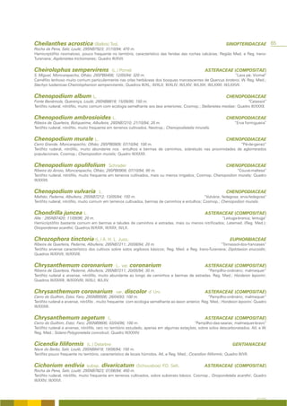 Cheilanthes acrostica (Balbis) Tod.                                                                                   SINOPTERIDACEAE              65
Rocha da Pena, Salir, Loulé; 29SNB7923; 31/10/94; 470 m.
Hemicriptófito rizomatoso, pouco frequente no território, característico das fendas das rochas calcárias; Região Med. e Reg. Irano-
Turaniana; Asplenietea trichomanes; Quadro III/XVII.


Cheirolophus sempervirens                         (L.) Pomel                                              ASTERACEAE (COMPOSITAE)
S. Miguel, Moncarapacho, Olhão; 29SPB0406; 12/05/94; 320 m.                                                                    “Lava pé; Viomal”
Caméfito lenhoso muito comum particularmente nas orlas herbáceas dos bosques marcescentes de Quercus broteroi, W. Reg. Med.;
Stachyo lusitanicae-Cheirolophenion sempervirentis; Quadros III/XL; III/XLII; III/XLIV; III/LXIV; III/LXIX; III/LXXIII; III/LXXVII.


Chenopodium album L.                                                                                                   CHENOPODIACEAE
Fonte Benémola, Querença, Loulé; 29SNB8818; 15/09/95; 150 m.                                                             “Catassol”
Terófito ruderal, nitrófilo, muito comum com ecologia semelhante aos taxa anteriores; Cosmop.; Stellarietea mediae; Quadro III/XXXII.


Chenopodium ambrosioides L.                                                                                            CHENOPODIACEAE
Ribeira de Quarteira, Boliqueime, Albufeira; 29SNB7210; 21/10/94; 20 m.                                                     “Erva formigueira”
Terófito ruderal, nitrófilo, muito frequente em terrenos cultivados. Neotrop.; Chenopodietalia mruralis.


Chenopodium murale L.                                                                                                  CHENOPODIACEAE
Cerro Grande, Moncarapacho; Olhão; 29SPB0909; 07/10/94; 100 m.                                               “Pé-de-ganso”
Terófito ruderal, nitrófilo, muito abundante nos entulhos e bermas de caminhos, sobretudo nas proximidades de aglomerados
populacionais. Cosmop.; Chenopodion muralis; Quadro III/XXXII.


Chenopodium opulifolium                       Schrader                                                                 CHENOPODIACEAE
Ribeira do Arroio, Moncarapacho, Olhão; 29SPB0909; 07/10/94; 85 m.                                               “Couve-maltesa”
Terófito ruderal, nitrófilo, muito frequente em terrenos cultivados, mais ou menos irrigados; Cosmop. Chenopodion muralis; Quadro
III/XXXII.


Chenopodium vulvaria                    L.                                                                             CHENOPODIACEAE
Malhão, Paderne, Albufeira; 29SNB7212; 13/05/94; 150 m.                                         “Vulvária; fedegosa; erva-fedegosa”
Terófito ruderal, nitrófilo, muito comum em terrenos cultivados, bermas de caminhos e entulhos; Cosmop.; Chenopodion muralis.


Chondrilla juncea L.                                                                                      ASTERACEAE (COMPOSITAE)
Alte : 29SNB7420; 11/09/96; 20 m.                                                                  “Leituga-branca; lentuga”
Hemicriptófito bastante comum em bermas e taludes de caminhos e estradas, mais ou menos nitrificados; Latemed. (Reg. Med.);
Onopordenea acanthii; Quadros III/XXIX; III/XXX; III/LX.


Chrozophora tinctoria (L.) A. H. L. Juss.                                                                                EUPHORBIACEAE
Ribeira de Quarteira, Paderne, Albufeira; 29SNB7211; 20/08/94; 20 m.                                      “Tornassol-dos-franceses”
Terófito arvense característico dos cultivos sobre solos argilosos básicos; Reg. Med. e Reg. Irano-Turaniana; Diplotaxion erucoidis;
Quadros III/XXVII; III/XXVIII.


Chrysanthemum coronarium L. var. coronarium                                                               ASTERACEAE (COMPOSITAE)
Ribeira de Quarteira, Paderne, Albufeira; 29SNB7211; 20/05/94; 30 m.                           “Pampilho-ordinário; malmequer”
Terófito ruderal e arvense, nitrófilo, muito abundante ao longo de caminhos e bermas de estradas. Reg. Med.; Hordeion leporini;
Quadros III/XXXIII; III/XXXVIII; III/XLI; III/LXV.


Chrysanthemum coronarium                            var.   discolor d’ Urv.                               ASTERACEAE (COMPOSITAE)
Cerro do Guilhim, Estoi, Faro; 29SNB9506; 28/04/93; 100 m.                                            “Pampilho-ordinário; malmequer”
Terófito ruderal e arvense, nitrófilo , muito frequente com ecologia semelhante ao taxon anterior. Reg. Med.; Hordeion leporini. Quadro
III/XXXIII.


Chrysanthemum segetum                        L.                                                           ASTERACEAE (COMPOSITAE)
Cerro do Guilhim, Estoi; Faro; 29SNB9606; 03/04/96; 100 m.                                   “Pampilho-das-searas; malmequer-bravo”
Terófito ruderal e arvense, nitrófilo, raro no território estudado, apenas em algumas estações, sobre solos descarbonatados. Atl. e W.
Reg. Med.; Solano-Polygonetalia convolvuli. Quadro III/XXXIV.


Cicendia filiformis             (L.) Delarbre                                                                              GENTIANACEAE
Nave do Barão, Salir, Loulé; 29SNB8419; 19/06/94; 150 m.
Terófito pouco frequente no território, característico de locais húmidos. Atl. e Reg. Med.; Cicendion filiformis; Quadro III/VII.


Cichorium endivia               subsp.   divaricatum            (Schousboe) P Sell.
                                                                             .D.                         ASTERACEAE (COMPOSITAE)
Rocha da Pena, Salir, Loulé; 29SNB7823; 01/06/94; 450 m.
Terófito ruderal, nitrófilo, muito frequente em terrenos cultivados, sobre substrato básico. Cosmop.; Onopordetalia acanthii; Quadro
III/XXIV; III/XXVI.



                                                                                                                                         A FLORA
 