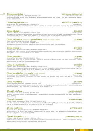 66 Cichorium intybus L.                                                                                                 ASTERACEAE (COMPOSITAE)
   Cerro da Bemposta, Estoi, Faro; 29SNB9809; 26/07/93; 120 m.                                               “Almeirão; chicória-de-café”
   Hemicriptófito ruderal, nitrófilo, muito frequente em terras cultivadas e incultos; Reg. Eurosib. e Reg. Med.; Onopordenea acanthii.;
   Quadros III/XXV; III/XXXII.


   Cichorium pumilum Jacq.                                                                                              ASTERACEAE (COMPOSITAE)
   Rocha da Pena, Salir, Loulé; 29SNB7823; 01/06/94; 450 m.                                                       “Chicória-brava”
   Terófito ruderal, nitrófilo, muito frequente em cultivos e bermas de caminhos, sobre solos argilosos; Reg. Med.; Onopordetalia
   acanthii.


   Cistus albidus L.                                                                                                                              CISTACEAE
   S. Romão, S. Brás de Alportel; 29SNB9413; 20/05/94; 310 m.                                                                                      “Roselha-grande”
   Nanofanerófito muito abundante no território, particularmente em matos termófilos; W. Reg. Med.; Rosmarinetea officinalis; Quadros
   III/XXIV; III/XXVI; III/XLIV; III/LII; III/LXI; III/LXII; III/LXIII; III/LXX; III/LXXI; III/LXXIII; III/LXXIV; III/LXXV; III/LXXVI; III/LXXVII.


   Cistus x hybridus                   nothosubsp.     grandiflorus (Pau) M.B. Crespo & Mateo                                                     CISTACEAE
   (Cistus populifolius subsp. major x Cistus salviifolius)
   Rocha da Pena, Salir, Loulé; 29SNB7823; 01/06/94; 450 m.
   Nanofanerófito muito raro no território, que vive em matos termófilos; W. Reg. Med.; Cisto-Lavanduletea.


   Cistus crispus L.                                                                                                                              CISTACEAE
   Cerro da Cabeça , Moncarapacho, Olhão; 29SPB0807; 15/04/93; 300 m.                                                  “Roselha”
   Nanofanerófito pouco frequente na superfície estudada, característico de matos que vivem em solos degradados descarbonatados;
   W. Reg. Med.; Lavanduletalia stoechadis; Quadro III/LXIII.


   Cistus ladanifer               L.                                                                                                              CISTACEAE
   Rocha da Pena; Salir; Loulé: 29SNB7924; 05/04/95; 300 m.                                                  “Esteva; xara”
   Nanofanerófito muito raro no território estudado; Apenas foi observado na Rocha da Pena, em matos, sobre solos calcários
   descarbonatados W. Reg. Med.; Lavanduletalia stoechadis.


   Cistus monspeliensis                     L.                                                                                                    CISTACEAE
   Cerro da Cabeça , Moncarapacho, Olhão; 29SPB0807; 23/03/95; 220 m.                                                       “Sargaço”
   Nanofanerófito muito abundante no território, particularmente em matos sobre solos argilosos calcários descarbonatados; Reg. Med.;
   Lavanduletalia stoechadis; Quadros III/LXI; III/LXII; III/LXIII; III/LXXIII; III/LXXIV; III/LXXV; III/LXXVI.


   Cistus populifolius subsp. major (Dunal) Heywood                                                                                               CISTACEAE
   Rocha de Pena, Salir, Loulé; 29SNB8024; 30/05/94; 320 m.                                               “Estevão; Lada”
   Nanofanerófito pouco comum, característico de matos húmidos que revestem solos ácidos; Med.-Iber.-Atl.; Lavanduletalia
   stoechadis.


   Cistus salviifolius L.                                                                                                                         CISTACEAE
   Cerro da Bemposta, Estoi, Faro; 29SNB9809; 10/03/90; 140 m.                                                   “Sanganho-mouro”
   Nanofanerófito indiferente edáfico, bastante comum nos matos e tomilhais que revestem solos submetidos a cultivos mais ou menos
   recentes. Reg. Med.; Cisto-Lavanduletea. Quadros III/XLIV; III/LXII; III/LXIII; III/LXX.


   Clematis cirrhosa L.                                                                                                                 RANUNCULACEAE
   Rocha da Pena, Salir, Loulé; 29SNB7923; 20/12/94; 400 m.                                              “Clematite-de-gavinhas”
   Fanerófito escandente, comum em alfarrobais densos e em afloramentos rochosos próximos do litoral; Reg. Med.; Quercetea ilicis;
   Quadro III/LXXIV.


   Clematis flammula L.                                                                                                                 RANUNCULACEAE
   Cerro da Cabeça, Moncarapacho, Olhão; 29SPB0807; 09/06/93; 80 m.
   Fanerófito escandente muito frequente nos machiais e bosques do Barrocal. Reg. Med.; Quercetea ilicis; Quadros III/XL; III/XLVII; III/
   LXV; III/LXVI; III/LXVII; III/LXVIII; III/LXX; III/LXXI; III/LXII; III/LXXIV; III/LXXVI; III/LXXVII.


   Cleome violacea L.                                                                                                                     CAPPARIDACEAE
   Moinhos da Rocha, Ribeira da Asseca, Tavira; 29SPB0807; 09/06/93; 80 m.
   Terófito muito raro no território que apenas foi observado numa só estação, sobre o leito pedregoso da Ribeira da Asseca; Ibero -
   Mauritânico; Diplotaxion erucoidis; Quadro III/LX.


   Cleonia lusitanica                  (L.) L.                                                                                  LAMIACEAE (LABIATAE)
   S. Romão, S. Brás de Alportel; 29SNB9413; 20/05/94; 310 m.
   Terófito muito abundante em arrelvados anuais e clareiras de matos, sobre solos básicos. Ibero - Atlântica; Brachypodion distachyi;
   Quadros III/XXVIII; III/XXXV; III/XXXVI; III/XXXVII; III/XLVI; III/XLIX; III/LIV.




   A FLORA
 