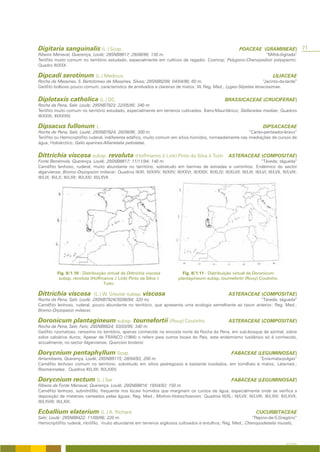 Digitaria sanguinalis (L.) Scop.                                                                                        POACEAE (GRAMINEAE)                   71
Ribeira Menaval, Querença, Loulé; 29SNB8817; 29/08/96; 130 m.                                               “Milhã-digitada”
Terófito muito comum no território estudado, especialmente em cultivos de regadio; Cosmop; Polygono-Chenopodion polyspermi;
Quadro III/XXX.

Dipcadi serotinum (L.) Medicus.                                                                                                             LILIACEAE
Rocha de Messines, S. Bartolomeu de Messines, Silves; 29SNB8208; 04/04/96; 60 m.                                 “Jacinto-da-tarde”
Geófito bolboso pouco comum, característico de arrelvados e clareiras de matos; W. Reg. Med.; Lygeo-Stipetea tenacissimae.


Diplotaxis catholica (L.) DC.                                                                                  BRASSICACEAE (CRUCIFERAE)
Rocha da Pena, Salir, Loulé; 29SNB7923; 22/05/95; 340 m.
Terófito muito comum no território estudado, especialmente em terrenos cultivados; Íbero-Mauritânico; Stellarietea mediae; Quadros
III/XXXI; III/XXXIV.

Dipsacus fullonum L.                                                                                                                  DIPSACACEAE
Rocha de Pena, Salir, Loulé; 29SNB7824; 26/08/96; 300 m.                                                 “Cardo-penteador-bravo”
Terófito ou Hemicriptófito ruderal, indiferente edáfico, muito comum em sítios húmidos, nomeadamente nas imediações de cursos de
água; Holoárctico; Galio aparines-Alliarietalia petiolatae.


Dittrichia viscosa subsp. revoluta (Hoffmanns & Link) Pinto da Silva & Tutin                                      ASTERACEAE (COMPOSITAE)
Fonte Benémola, Querença, Loulé; 29SNB8817; 11/11/94; 140 m.                                                                       “Táveda; tágueda”
Caméfito lenhoso, ruderal, muito abundante no território, sobretudo em bermas de estradas e caminhos; Endémico do sector
algarviense; Bromo-Oryzopsion miliacei; Quadros III/XI; III/XXIV; III/XXV; III/XXVI; III/XXIX; III/XLIV; III/XLVII; III/LIII; III/LVI; III/LVII; III/LVIII;
III/LIX; III/LX; III/LXII; III/LXIV; III/LXVII.




           Fig. II/1.10 - Distribuição virtual de Dittrichia viscosa                  Fig. II/1.11 - Distribuição virtual de Doronicum
            subsp. revoluta (Hoffmanns & Link) Pinto da Silva &                     plantagineum subsp. tournefortii (Rouy) Coutinho.
                                     Tutin.

Dittrichia viscosa               (L.) W. Greuter subsp.       viscosa                                             ASTERACEAE (COMPOSITAE)
Rocha da Pena, Salir, Loulé; 29SNB7924/30/08/94; 320 m;                                                    “Táveda; tágueda”
Caméfito lenhoso, ruderal, pouco abundante no território, que apresenta uma ecologia semelhante ao taxon anterior; Reg. Med.;
Bromo-Oryzopsion miliacei.

Doronicum plantagineum subsp. tournefortii (Rouy) Coutinho                                                        ASTERACEAE (COMPOSITAE)
Rocha da Pena, Salir, Faro; 29SNB8024; 03/03/95; 340 m.
Geófito rizomatoso, raríssimo no território, apenas conhecido na encosta norte da Rocha da Pena, em sub-bosque de azinhal, sobre
solos calcários duros; Apesar de FRANCO (1984) o referir para outros locais do País, este endemismo lusitânico só é conhecido,
actualmente, no sector Algarviense; Quercion broteroi.

Dorycnium pentaphyllum Scop.                                                                                       FABACEAE (LEGUMINOSAE)
Amendoeira, Querença, Loulé; 29SNB9115; 28/04/93; 200 m.                                                 “Erva-mata-pulgas”
Caméfito lenhoso comum no território, sobretudo em sítios pedregosos e bastante insolados, em tomilhais e matos; Latemed.;
Rosmarinetea; Quadros III/LXII; III/LXXIV.

Dorycnium rectum (L.) Ser                                                                                          FABACEAE (LEGUMINOSAE)
Ribeira da Fonte Menaval, Querença, Loulé; 29SNB8818; 19/04/93; 150 m.
Caméfito lenhoso, subnitrófilo, frequente nos locais húmidos que marginam os cursos de água, especialmente onde se verifica a
deposição de materiais carreados pelas águas; Reg. Med.; Molinio-Holoschoenion; Quadros III/XL; III/LVII; III/LVIII; III/LXIV; III/LXVII;
III/LXVIII; III/LXIX.

Ecballium elaterium (L.) A. Richard                                                                                               CUCURBITACEAE
Salir; Loulé: 29SNB8422; 11/09/96; 220 m.                                                                     “Pepino-de-S.Gregório”
Hemicriptófito ruderal, nitrófilo, muito abundante em terrenos argilosos cultivados e entulhos; Reg. Med.; Chenopodietalia muralis;



                                                                                                                                                    A FLORA
 