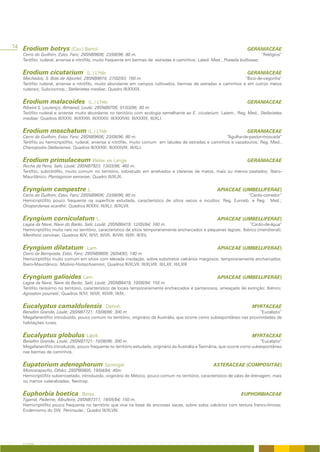 74 Erodium botrys (Cav.) Bertol                                                                                          GERANIACEAE
    Cerro do Guilhim, Estoi, Faro; 29SNB9606; 23/08/96; 80 m.                                                                 “Relógios”
    Terófito, ruderal, arvense e nitrófilo, muito frequente em bermas de estradas e caminhos; Lated. Med.; Poetalia bulbosae;


    Erodium cicutarium               (L.) L’Hér                                                                          GERANIACEAE
    Machados; S. Brás de Alportel; 29SNB9810; 27/02/93; 160 m.                                                  “Bico-de-cegonha”
    Terófito ruderal, arvense e nitrófilo, muito abundante em campos cultivados, bermas de estradas e caminhos e em outros meios
    ruderais; Subcosmop.; Stellarietea mediae; Quadro III/XXXIX.


    Erodium malacoides                (L.) L’Hér.                                                                        GERANIACEAE
    Ribeira S. Lourenço, Almansil, Loulé; 29SNB8706; 01/03/96; 60 m.
    Terófito ruderal e arvense muito abundante no território com ecologia semelhante ao E. cicutarium. Latem., Reg. Med., Stellarietea
    mediae; Quadros III/XXXI; III/XXXIII; III/XXXIV; III/XXXVIII; III/XXXIX; III/XLI.


    Erodium moschatum (L.) L’Hér                                                                                         GERANIACEAE
    Cerro do Guilhim, Estoi, Faro; 29SNB9606; 23/08/96; 80 m.                                             “Agulha-de-pastor-moscada”
    Terófito ou hemicriptófito, ruderal, arvense e nitrófilo, muito comum em taludes de estradas e caminhos e vazadouros; Reg. Med.,
    Chenopodio-Stellarienea; Quadros III/XXXIII; III/XXXVIII; III/XLI.


    Erodium primulaceum Welw. ex Lange                                                                                   GERANIACEAE
    Rocha da Pena, Salir, Loulé; 29SNB7923; 13/03/96; 460 m.
    Terófito, subnitrófilo, muito comum no território, sobretudo em arrelvados e clareiras de matos, mais ou menos pastados; Íbero-
    Mauritânico, Plantaginion serrariae; Quadro III/XLIX.


    Eryngium campestre L.                                                                                APIACEAE (UMBELLIFERAE)
    Cerro do Guilhim, Estoi, Faro; 29SNB9606; 23/08/96; 80 m.                                                     “Cardo-corredor”
    Hemicriptófito pouco frequente na superfície estudada, característico de sítios secos e incultos; Reg. Eurosib. e Reg. Med.;
    Onopordenea acanthii; Quadros III/XXV; III/XLI; III/XLVII.


    Eryngium corniculatum L.                                                                             APIACEAE (UMBELLIFERAE)
    Lagoa da Nave, Nave do Barão, Salir, Loulé; 29SNB8419; 12/05/94; 160 m.                                              “Cardo-de-água”
    Hemicriptófito muito raro no território, característico de sítios temporariamente encharcados e pequenas lagoas; Ibérico (meridional);
    Menthion cervinae; Quadros III/V; III/VI; III/VII; III/VIII; III/IX; III/XV.


    Eryngium dilatatum               Lam.                                                                APIACEAE (UMBELLIFERAE)
    Cerro da Bemposta, Estoi, Faro; 29SNB9809; 26/04/93; 140 m.
    Hemicriptófito muito comum em sítios com elevada insolação, sobre substratos calcários margosos, temporariamente encharcados;
    Íbero-Mauritânico; Molinio-Holoschoenion; Quadros III/XLVII; III/XLVIII; III/LXII; III/LXIII.


    Eryngium galioides Lam.                                                                              APIACEAE (UMBELLIFERAE)
    Lagoa da Nave, Nave do Barão, Salir, Loulé; 29SNB8419; 10/06/94; 155 m.
    Terófito raríssimo no território, característico de locais temporariamente encharcados e pantanosos, ameaçado de extinção; Ibérico;
    Agrostion pourretii; Quadros III/VI; III/VII; III/VIII; III/IX.


    Eucalyptus camaldulensis                   Dehnh.                                                                      MYRTACEAE
    Benafim Grande, Loulé; 29SNB7721; 10/08/96; 300 m.                                                                     “Eucalipto”
    Megafanerófito introduzido, pouco comum no território, originário da Austrália, que ocorre como subespontâneo nas proximidades de
    habitações rurais.


    Eucalyptus globulus Labill.                                                                                            MYRTACEAE
    Benafim Grande, Loulé; 29SNB7721; 10/08/96; 300 m.                                                                          “Eucalipto”
    Megafanerófito introduzido, pouco frequente no território estudado, originário da Austrália e Tasmânia, que ocorre como subespontâneo
    nas bermas de caminhos.


    Eupatorium adenophorum Sprengel                                                                    ASTERACEAE (COMPOSITAE)
    Moncarapacho, Olhão; 29SPB0805; 19/04/94; 40m
    Hemicriptófito subarrosetado, introduzido, originário do México, pouco comum no território, característico de valas de drenagem, mais
    ou menos ruderalizadas; Neotrop.


    Euphorbia boetica             Boiss.                                                                             EUPHORBIACEAE
    Tigarral, Paderne, Albufeira; 29SNB7311; 19/05/94; 150 m.
    Hemicriptófito pouco frequente no território que vive na base de encostas secas, sobre solos calcários com textura franco-limosa;
    Endemismo do SW. Peninsular.; Quadro III/XLVIII.




    A FLORA
 