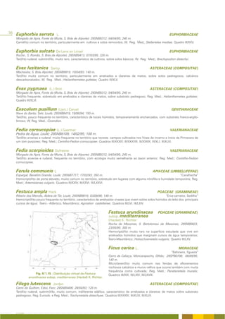 76 Euphorbia serrata L.                                                                                               EUPHORBIACEAE
   Morgado de Apra, Fonte da Murta, S, Brás de Alportel; 29SNB9312; 04/04/95; 240 m.
   Caméfito comum no território, particularmente em cultivos e solos removidos; W. Reg. Med.; Stellarietea mediae; Quadro III/XXV.


   Euphorbia sulcata De Lens ex Loisel                                                                                EUPHORBIACEAE
   Rocha , S. Romão, S. Brás de Alportel; 29SNB9413; 07/03/95; 320 m.
   Terófito ruderal, subnitrófilo, muito raro, característico de cultivos, sobre solos básicos; W. Reg. Med.; Brachypodion distachyi.


   Evax lusitanica           Samp.                                                                     ASTERACEAE (COMPOSITAE)
   Machados, S. Brás Alportel; 29SNB9810; 10/04/93; 140 m.
   Terófito muito comum no território, particularmente em arrelvados e clareiras de matos, sobre solos pedregosos, calcários
   descarbonatados; W. Reg. Med.; Helianthemetea guttatae; Quadro III/XLV.


   Evax pygmaea             (L.) Brot.                                                                 ASTERACEAE (COMPOSITAE)
   Morgado de Apra, Fonte da Murta, S, Brás de Alportel; 29SNB9312; 04/04/95; 240 m.
   Terófito frequente, sobretudo em arrelvados e clareiras de matos, sobre substrato pedregoso; Reg. Med.; Helianthemetea guttatae;
   Quadro III/XLVI.


   Exaculum pusillum (Lam.) Caruel                                                                                     GENTIANACEAE
   Nave do Barão, Salir, Loulé; 29SNB8419; 19/06/94; 150 m.
   Terófito, pouco frequente no território, característico de locais húmidos, temporariamente encharcados, com substrato franco-argilo-
   limoso; W. Reg. Med.; Cicendion.


   Fedia cornucopiae (L.) Gaertner                                                                                    VALERIANACEAE
   Pedra de Água, Loulé; 29SNB8109; 14/02/95; 100 m.
   Terófito arvense e ruderal muito frequente no território que reveste campos cultivados nos finais de inverno e início da Primavera de
   um tom purpúreo; Reg. Med.; Cerintho-Fedion cornucopiae; Quadros III/XXXIV; III/XXXVIII; III/XXXIX; III/XLI; III/XLVI.


   Fedia scorpioides Dufresne                                                                                         VALERIANACEAE
   Morgado de Apra, Fonte da Murta, S, Brás de Alportel; 29SNB9312; 04/04/95; 240 m.
   Terófito arvense e ruderal, frequente no território, com ecologia muito semelhante ao taxon anterior; Reg. Med.; Cerintho-Fedion
   cornucopiae.


   Ferula communis L                                                                                     APIACEAE (UMBELLIFERAE)
   Espargal, Benafim Grande, Loulé; 29SNB7717; 17/02/93; 350 m.                                                         “Canafrecha”
   Hemicriptófito de porte elevado, muito comum no território, sobretudo em lugares com alguma nitrofilia e humidade temporária; Reg.
   Med.; Artemisienea vulgaris; Quadros III/XXIV; III/XXVI; III/LXXVI.


   Festuca ampla Hack                                                                                        POACEAE (GRAMINEAE)
   Ribeira dos Mercês, Aldeia da Tôr, Loulé; 29SNB8816; 03/09/96; 140 m.                                          “Erva-carneira; Sedilho”
   Hemicriptófito pouco frequente no território, característico de arrelvados vivazes que vivem sobre solos húmidos do leito dos principais
   cursos de água; Íbero - Atlântico, Mauritânico; Agrostion castellanae; Quadros III/LVI; III/LXIV.


                                                                        Festuca arundinacea                  POACEAE (GRAMINEAE)
                                                                        subsp. mediterranea
                                                                        (Hackel) K. Richter
                                                                        Rocha de Messines, S. Bartolomeu de Messines; 29SNB6823;
                                                                        23/05/95; 300 m.
                                                                        Hemicriptófito muito raro na superfície estudada que vive em
                                                                        arrelvados húmidos que marginam cursos de água temporários;
                                                                        Íbero-Mauritânico; Holoschoenetalia vulgaris; Quadro III/LXV.


                                                                        Ficus carica L.                                      MORACEAE
                                                                                                                     “Baforeira; figueira”
                                                                        Cerro da Cabeça, Moncarapacho, Olhão; 29SPB0708; 06/08/96;
                                                                        140 m.
                                                                        Microfanerófito muito comum nas fendas de afloramentos
                                                                        rochosos calcários e muros velhos que ocorre também com muita
                                                                        frequência como cultivada; Reg. Med.; Parietarietalia muralis;
                 Fig. II/1.15 - Distribuição virtual de Festuca         Quadros III/XIX; III/LXIV; III/LXVIII.
             arundinacea subsp. mediterranea (Hackel) K. Richter.

   Filago lutescens           Jordan                                                                   ASTERACEAE (COMPOSITAE)
   Cerro do Guilhim, Estoi, Faro; 29SNB9406; 28/04/93; 120 m.
   Terófito ruderal, subnitrófilo, muito comum, indiferente edáfico, característico de arrelvados e clareiras de matos sobre substrato
   pedregoso; Reg. Eurosib. e Reg. Med.; Trachynietalia distachyae; Quadros III/XXXIX; III/XLVI; III/XLIX.




   A FLORA
 
