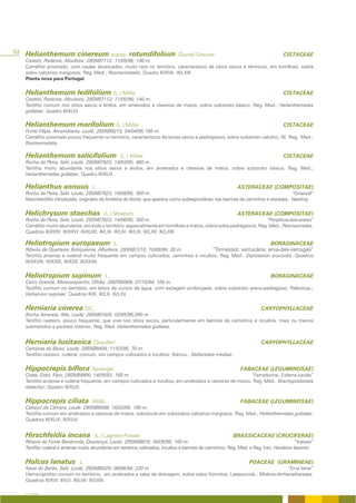 82 Helianthemum cinereum subsp. rotundifolium (Dunal) Greuter                                                                   CISTACEAE
   Castelo, Paderne, Albufeira; 29SNB7112; 11/05/96; 140 m.
   Caméfito prostrado, com caules divaricados, muito raro no território, característico de sítios secos e térmicos, em tomilhais, sobre
   solos calcários margosos; Reg. Med.; Rosmarinetalia; Quadro III/XVII; III/LXIII.
   Planta nova para Portugal.


   Helianthemum ledifolium (L.) Miller                                                                                          CISTACEAE
   Castelo, Paderne, Albufeira; 29SNB7112; 11/05/96; 140 m.
   Terófito comum nos sítios secos e áridos, em arrelvados e clareiras de matos, sobre substrato básico; Reg. Med.; Helianthemetea
   guttatae; Quadro III/XLVI.

   Helianthemum marifolium (L.) Miller                                                                                          CISTACEAE
   Fonte Filipe, Amendoeira, Loulé; 29SNB9215; 04/04/95;160 m.
   Caméfito prostrado pouco frequente no território, característico de locais secos e pedregosos, sobre substrato calcário; W. Reg. Med.;
   Rosmarinetalia.

   Helianthemum salicifolium                       (L.) Miller                                                                  CISTACEAE
   Rocha da Pena, Salir, Loulé; 29SNB7923; 14/03/95; 460 m.
   Terófito muito abundante nos sítios secos e áridos, em arrelvados e clareiras de matos, sobre substrato básico; Reg. Med.;
   Helianthemetea guttatae; Quadro III/XLVI.

   Helianthus annuus               L.                                                                     ASTERACEAE (COMPOSITAE)
   Rocha da Pena, Salir, Loulé; 29SNB7923; 14/08/95; 300 m.                                                                     “Girassol”
   Macroterófito introduzido, originário da América do Norte, que aparece como subespontâneo nas bermas de caminhos e estradas; Neotrop.


   Helichrysum stoechas                  (L.) Moench                                                      ASTERACEAE (COMPOSITAE)
   Rocha da Pena, Salir, Loulé; 29SNB7923; 14/08/95; 300 m.                                                       “Perpétua-das-areias”
   Caméfito muito abundante, em todo o território, especialmente em tomilhais e matos, sobre solos pedregosos; Reg. Med.; Rosmarinetea;
   Quadros III/XXIV; III/XXVI; III/XLVII; III/LIII; III/LIV; III/LXI; III/LXII; III/LXIII.

   Heliotropium europaeum                     L.                                                                          BORAGINACEAE
   Ribeira de Quarteira, Boliqueime, Albufeira; 29SNB7210; 10/09/95; 30 m.           “Tornassol; verrucária; erva-das-verrugas”
   Terófito arvense e ruderal muito frequente em campos cultivados, caminhos e incultos; Reg. Med.; Diplotaxion erucoidis; Quadros
   III/XXVIII; III/XXIX; III/XXX; III/XXXII.


   Heliotropium supinum                  L.                                                                               BORAGINACEAE
   Cerro Grande, Moncarapacho, Olhão; 29SPB0909; 07/10/94; 100 m.
   Terófito comum no território, em leitos de cursos de água com estiagem prolongada, sobre substrato areno-pedregoso; Paleotrop.;
   Verbenion supinae; Quadros III/X; III/LX; III/LXV.


   Herniaria cinerea DC.                                                                                             CARYOPHYLLACEAE
   Rocha Amarela, Alte, Loulé; 29SNB7420; 03/05/96;260 m.
   Terófito rasteiro, pouco frequente, que vive nos sítios secos, particularmente em bermas de caminhos e incultos, mais ou menos
   submetidos a pisoteio intenso; Reg. Med. Helianthemetea guttatae.


   Herniaria lusitanica Chaudhri                                                                                     CARYOPHYLLACEAE
   Campina de Baixo, Loulé; 29SNB8409; 11/03/95; 70 m.
   Terófito rasteiro, ruderal, comum, em campos cultivados e incultos; Ibérico.; Stellarietea mediae;


   Hippocrepis biflora Sprengel                                                                            FABACEAE (LEGUMINOSAE)
   Costa, Estoi, Faro; 29SNB9906; 14/05/93; 160 m.                                                           “Ferradurina; Esferra-cavalo”
   Terófito arvense e ruderal frequente, em campos cultivados e incultos, em arrelvados e clareiras de matos; Reg. Med.; Brachypodietalia
   distachyi; Quadro III/XLVI.


   Hippocrepis ciliata             Willd.                                                                  FABACEAE (LEGUMINOSAE)
   Cabeço da Câmara, Loulé; 29SNB8508; 16/03/95; 180 m.
   Terófito comum em arrelvados e clareiras de matos, sobretudo em substratos calcários margosos; Reg. Med.; Helianthemetea guttatae;
   Quadros III/XLIX; III/XLVI.


   Hirschfeldia incana              (L.) Lagrèze-Fossat                                                 BRASSICACEAE (CRUCIFERAE)
   Ribeira da Fonte Benémola, Querença, Loulé; 29SNB8818; 30/05/95; 160 m.                                                            “Ineixas”
   Terófito ruderal e arvense muito abundante em terrenos cultivados, incultos e bermas de caminhos; Reg. Med. e Reg. Iran; Hordeion leporini.


   Holcus lanatus            L.                                                                                POACEAE (GRAMINEAE)
   Nave do Barão, Salir, Loulé; 29SNB8320; 08/06/94; 220 m.                                                               “Erva lanar”
   Hemicriptófito comum no território, em arrelvados e valas de drenagem, sobre solos húmidos; Lateeurosib.; Molinio-Arrhenatheretea;
   Quadros III/XVI; III/LV; III/LVII; III/LVIII.

   A FLORA
 