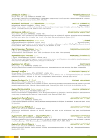 Hordeum hystrix Roth                                                                                              POACEAE (GRAMINEAE)                83
Nave do Barão, Salir, Loulé; 29SNB8320; 08/06/94; 220 m.                                                             “Cevada marítima”
Terófito ruderal e subnitrófilo, indiferente edáfico, frequente em locais húmidos e nitrificados, em arrelvados e bermas de caminhos;
Cosmop.; Plantaginetalia majoris; Quadros III/VIII; III/IX; III/LV.

Hordeum murinum subsp. leporinum (Link) Arcangeli                                                                POACEAE (GRAMINEAE)
Cabeça Gorda; Alto Loulé; 29SNB8914; 15/04/93; 240 m.                                                          “Cevada-dos-ratos”
Terófito arvense, viário e nitrófilo, muito abundante em bermas de caminhos e locais nitrificados; Latemed., Reg. Med.; Hordeion
leporini; Quadros III/XXXII; III/XXXIII; III/XXXIV; III/XLI; III/XLIII; III/LVIII.

Hornungia petraea Reichenb                                                                               BRASSICACEAE (CRUCIFERAE)
Rocha da Pena, Salir, Loulé; 29SNB8023; 23/02/96; 470 m.
Terófito efémero, pouco frequente, que vive sobre afloramentos rochosos de calcários, em pequenas depressões terrosas e arrelvados
terofíticos sobre lapiás, algo nitrificados; Reg. Eurosib. e Reg. Med.; Brachypodion distachyi; Quadro III/XLV.

Hyacinthoides hispanica (Miller) Rothm.                                                                                             LILIACEAE
Cabeço da Câmara, Loulé; 29SNB8308; 16/03/95; 200 m.                                                        “Jacinto-dos-campos”
Geófito bolboso muito abundante no território, sobretudo no subcoberto de bosques e machiais; Atl. e Reg. Med.; Quercion broteroi;
Quadros III/XVIII; III/XXI; III/XXII; III/XLI; III/LXX; III/LXXI; III/LXXIII; III/LXXVI; III/LXXVII.

Hymenocarpos hamosus (Desf.) Vis.                                                                            FABACEAE (LEGUMINOSAE)
S. Brás de Alportel: 29SNB9811; 16/04/94; 180 m.
Terófito muito raro que vive em sítios secos, sobre solos arenosos; W. Reg. Med.; Thero-Brometalia.

Hymenocarpos lotoides (L.) Vis.                                                                              FABACEAE (LEGUMINOSAE)
S. Romão; S. Brás de Alportel: 29SNB9513; 06/04/94; 280 m.
Terófito arvense e ruderal, pouco frequente, característico de sítios secos e termófilos, sobre solos calcários descarbonatados, com
textura arenosa; W. Reg. Med.; Trachynietalia distachyae; Quadro III/XLVI.

Hyoscyamus albus L.                                                                                                            SOLANACEAE
Pedra de Água, Loulé; 29SNB8109; 18/05/94; 100 m.                                                             “Meimendro branco”
Terófito ou Hemicriptófito ruderal e nitrófilo comum em muros, entulhos e locais com solo removido; Reg. Med.; Parietarietalia.


Hyoseris scabra              L.                                                                            ASTERACEAE (COMPOSITAE)
Cerro da Cabeça , Moncarapacho, Olhão; 29SPB0807; 18/02/94; 100 m.
Terófito calcícola, pouco frequente no território, característico de locais térmicos, mais ou menos próximos do mar, que ocorre em
arrelvados, submetidos a pastoreio; W. Reg. Med.; Poo-Astragalion; Quadros III/XXXVII; III/XXXIX; III/XLVI; III/XLIX.


Hyparrhenia hirta (L.) Stapf                                                                                    POACEAE (GRAMINEAE)
Tigarral, Paderne, Albufeira; 29SNB7210; 25/05/95; 35 m.
Hemicriptófito nitrófilo e termófilo, muito abundante no território, em campos cultivados abandonados e bermas de estradas, sobre solos
calcários margosos profundos; Paleotrop.; Hyparrhenietalia hirtae; Quadros III/XLVII; III/LII; III/LIII; III/LXII; III/LXIII; III/LXXIV; III/LXXV.


Hyparrhenia sinaica                (Delile) Llauradó ex G. Lopez                                                 POACEAE (GRAMINEAE)
Portela, Nave do Barão, Loulé; 29SNB8320; 15/08/94; 300 m.
Hemicriptófito subnitrófilo, indiferente edáfico, muito abundante no território, em sítios secos e térmicos, pedregosos que se apresenta
muitas vezes como sub-rupícola; Paleotrop.; Hyparrhenietalia hirtae; Quadros III/XLVIII; III/LII.


Hypericum humifusum L.                                                                                       CLUSIACEAE (GUTTIFERAE)
Nave do Barão, Loulé; 29SNB8320; 15/08/94; 240 m.
Caméfito pouco frequente no território que vive em locais temporariamente encharcados, em arrelvados; Atl. e W. Reg. Med.; Isoeto-
Nanojuncetea.


Hypericum perfoliatum                    L.                                                                  CLUSIACEAE (GUTTIFERAE)
Rocha de Pena, Salir, Loulé; 29SNB7824; 28/08/96; 260 m.
Hemicriptófito semi-esciófilo frequente, no território, sobretudo, em sebes e orlas de bosques; Reg. Med.; Brachypodietalia
phoenicoidis.


Hypericum perforatum var. angustifolium DC.                                                                  CLUSIACEAE (GUTTIFERAE)
Ribeira de S. Lourenço, Almansil, Loulé; 29SNB8805; 04/06/93; 50 m.                                              “Hipericão; milfurada”
Hemicriptófito pouco comum no território, característico de valas de drenagem, leitos de cursos de água e orlas de bosques e machiais
mesofíticos; Cosmop.; Trifolio-Geranietea; Quadros III/XXIV; III/XXVI; III/XLIV; III/XLVII; III/LIII; III/LVIII.

Hypericum tomentosum                       L.                                                                CLUSIACEAE (GUTTIFERAE)
Rocha de Pena, Salir, Loulé; 29SNB7824; 28/08/96; 260 m.
Hemicriptófito pouco frequente que vive em sítios húmidos, temporariamente inundados; W. Reg. Med.; Molinio-Holoschoenenion;
Quadros III/LIII; III/LVII.



                                                                                                                                           A FLORA
 