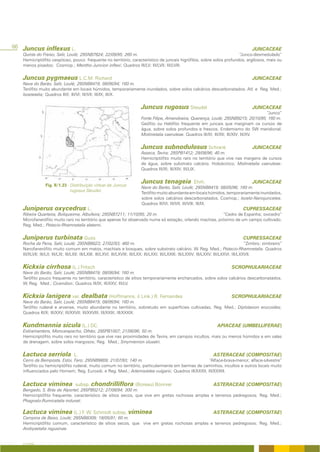 86 Juncus inflexus L.                                                                                                                            JUNCACEAE
   Quinta do Freixo, Salir, Loulé; 29SNB7824; 22/09/95; 260 m.                                                       “Junco-desmedulado”
   Hemicriptófito cespitoso, pouco frequente no território, característico de juncais higrófilos, sobre solos profundos, argilosos, mais ou
   menos pisados; Cosmop.; Mentho-Juncion inflexi; Quadros III/LV; III/LVII; III/LVIII.


   Juncus pygmaeus L.C.M. Richard                                                                                                                JUNCACEAE
   Nave do Barão, Salir, Loulé; 29SNB8419; 08/06/94; 160 m.
   Terófito muito abundante em locais húmidos, temporariamente inundados, sobre solos calcários descarbonatados. Atl. e Reg. Med.;
   Isoetetalia; Quadros III/I; III/VI; III/VII; III/IX; III/X.


                                                                            Juncus rugosus Steudel                                               JUNCACEAE
                                                                                                                                              “Junco”
                                                                            Fonte Filipe, Amendoeira, Querença, Loulé; 29SNB9215; 20/10/95; 160 m.
                                                                            Geófito ou Helófito frequente em juncais que marginam os cursos de
                                                                            água, sobre solos profundos e frescos. Endemismo do SW meridional.
                                                                            Molinietalia caeruleae. Quadros III/XI; III/XII; III/XIV; III/XV.


                                                                            Juncus subnodulosus Schrank                                          JUNCACEAE
                                                                            Asseca, Tavira; 29SPB1412; 29/08/96; 40 m.
                                                                            Hemicriptófito muito raro no território que vive nas margens de cursos
                                                                            de água, sobre substrato calcário. Holoárctico; Molinietalia caeruleae.
                                                                            Quadros III/XI; III/XIV; III/LIX.


                Fig. II/1.23 - Distribuição virtual de Juncus
                                                                            Juncus tenageia                  Ehrh.                               JUNCACEAE
                                                                            Nave do Barão, Salir, Loulé; 29SNB8419; 08/05/96; 160 m.
                               rugosus Steudel.
                                                                            Terófito muito abundante em locais húmidos, temporariamente inundados,
                                                                            sobre solos calcários descarbonatados. Cosmop.; Isoeto-Nanojuncetea.
                                                                            Quadros III/VI; III/VII; III/VIII; III/IX.
   Juniperus oxycedrus L.                                                                                                                   CUPRESSACEAE
   Ribeira Quarteira, Boliqueime, Albufeira; 29SNB7211; 11/10/95; 20 m.                                  “Cedro de Espanha; oxicedro”
   Microfanerófito muito raro no território que apenas foi observado numa só estação, orlando machias, próximo de um campo cultivado.
   Reg. Med.; Pistacio-Rhamnetalia alaterni.


   Juniperus turbinata Guss.                                                                                                                CUPRESSACEAE
   Rocha da Pena, Salir, Loulé; 29SNB8023; 27/02/93; 460 m.                                                                                      “Zimbro; zimbreiro”
   Nanofanerófito muito comum em matos, machiais e bosques, sobre substrato calcário. W. Reg. Med.; Pistacio-Rhamnetalia. Quadros
   III/XLVII; III/LII; III/LXI; III/LXII; III/LXIII; III/LXVI; III/LXVIII; III/LXX; III/LXXI; III/LXXIII; III/LXXIV; III/LXXV; III/LXXVI; III/LXXVII.


   Kickxia cirrhosa (L.) Fritsch                                                                                                    SCROPHULARIACEAE
   Nave do Barão, Salir, Loulé; 29SNB8419; 08/06/94; 160 m.
   Terófito pouco frequente no território, característico de sítios temporariamente encharcados, sobre solos calcários descarbonatados.
   W. Reg. Med.; Cicendion; Quadros III/IX; III/XXV; III/LV.


   Kickxia lanigera var. dealbata (Hoffmanns. & Link.) R. Fernandes                                                                 SCROPHULARIACEAE
   Nave do Barão, Salir, Loulé; 29SNB8419; 08/06/94; 160 m.
   Terófito ruderal e arvense, muito abundante no território, sobretudo em superfícies cultivadas; Reg. Med.; Diplotaxion erucoides;
   Quadros III/X; III/XXV; III/XXVII; III/XXVIII; III/XXIX; III/XXXIX.


   Kundmannia sicula (L.) DC.                                                                                               APIACEAE (UMBELLIFERAE)
   Estiramantens, Moncarapacho, Olhão; 29SPB1007; 21/06/96; 50 m.
   Hemicriptófito muito raro no território que vive nas proximidades de Tavira, em campos incultos, mais ou menos húmidos e em valas
   de drenagem, sobre solos margosos; Reg. Med.; Smyrnienion olusatri.


   Lactuca serriola               L.                                                                                     ASTERACEAE (COMPOSITAE)
   Cerro da Bemposta, Estoi, Faro; 29SNB9809; 21/07/93; 140 m.                                     “Alface-brava-menor; alface-silvestre”
   Terófito ou hemicriptófito ruderal, muito comum no território, particularmente em bermas de caminhos, incultos e outros locais muito
   influenciados pelo Homem; Reg. Eurosib. e Reg. Med.; Artemisietea vulgaris; Quadros III/XXXII; III/XXXIII.


   Lactuca viminea                 subsp. chondrilliflora (Boreau) Bonnier                                               ASTERACEAE (COMPOSITAE)
   Bengado, S. Brás de Alportel; 29SPB0212; 27/08/94; 300 m.
   Hemicriptófito frequente, característico de sítios secos, que vive em gretas rochosas amplas e terrenos pedregosos; Reg. Med.;
   Phagnalo-Rumicetalia indurati.

   Lactuca viminea (L.) F. W. Schmidt subsp. viminea                                                                     ASTERACEAE (COMPOSITAE)
   Campina de Baixo, Loulé; 29SNB8309; 18/05/91; 60 m.
   Hemicriptófito comum, característico de sítios secos, que vive em gretas rochosas amplas e terrenos pedregosos; Reg. Med.;
   Andryaetalia ragusinae.


   A FLORA
 