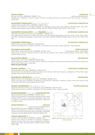 Lemna minor L.                                                                                                                         LEMNACEAE            89
Rio Seco, Estoi, Faro; 29SNB9709; 19/06/93; 110 m.                                                “Lentilhas-de-águas-menores”
Hidrófito pouco frequente no território, apenas conhecido nas águas estancadas e eutróficas do Rio Seco. Cosmop.; Lemnetalia;
Quadro III/II.


Leontodon longirostris (Finch & P.D. Sell) Talavera                                                             ASTERACEAE (COMPOSITAE)
S. Miguel, Moncarapacho, Olhão; 29SPB0406; 10/05/93; 200 m.
Terófito muito abundante no território, sobretudo em arrelvados anuais, sobre solos calcários descarbonatados. Reg. Med.;
Helianthemetea guttatae; Quadros III/XXXIV; III/XXXV; III/XXXVI; III/XXXVII; III/XXXIX; III/XLV; III/XLVI; III/XLIX; III/LV


Leontodon taraxacoides                       subsp. hispidus Kerguèlen                                          ASTERACEAE (COMPOSITAE)
Fonte Filipe, Amendoeira, Querença, Loulé; 29SNB9215; 03/04/94; 150 m.
Hemicriptófito pouco frequente no território que vive em solos calcários descarbonatados com textura franco - limosa. Reg. Eurosib.,
Reg. Med.; Helianthemetea guttatae; Quadros III/VIII; III/IX; III/XIX; III/XXXVII; III/XXXVIII; III/XXXIX; III/XLVI; III/XLVII; III/L; III/LIII; III/LIV;
III/LV.


Leontodon tuberosus                     L.                                                                      ASTERACEAE (COMPOSITAE)
Rocha da Pena, Salir, Loulé; 29SNB7923; 12/03/95; 460 m.
Geófito muito frequente em arrelvados submetidos a um pisoteio, mais ou menos intenso; Reg. Med.; Poetea bulbosae.


Leucojum autumnale                      L.                                                                                     AMARYLLIDACEAE
Cerro Grande , Moncarapacho, Olhão; 29SPB0909; 07/10/94; 120 m.                      “Campainhas-de-outouno; choramingas”
Geófito muito comum em clareiras de matos e arrelvados que revestem solos calcários descarbonatados; W. Reg. Med.; Poetea
bulbosae (fácies outonal).


Leucorchis albida (L.) E. Meyer                                                                                                     ORCHIDACEAE
Rocha da Pena; Salir; Loulé; 29SNB7924;20/05/95;460m.
Geófito rizomatoso, raríssimo no território, apenas conhecido nas fendas de rochas calcárias dolomíticas das partes mais elevadas da
Rocha da Pena. Reg. Eurosib. e Reg. Med.
Planta nova para Portugal.


Leuzea conifera              (L.) DC.                                                                           ASTERACEAE (COMPOSITAE)
Rocha dos Soidos, Alte, Loulé; 29SNB7523; 21/04/93; 440 m.
Hemicriptófito muito abundante em clareiras de matos e de machiais, sobre solos margosos e pedregosos; W. Reg. Med.; Lygeo-
Stipetalia; Quadros III/LXI; III/LXII; III/LXXIII; III/LXXVI.


Limodorum abortivum (L.) Schwartz                                                                                                   ORCHIDACEAE
Malhão Primeiro, Cerro da Bemposta, Estoi, Faro; 29SNB9808; 09/05/96; 210 m.
Geófito rizomatoso pouco frequente e localizado em sub-bosque de medronhais, carvalhais e azinhais, sobre solos frescos e bem
humificados; Reg. Med.; Querco-Fagetea; Quadro III/XLIV.


Linaria amethystea (Lam.) Hoffmanns. & Link                                                                                SCROPHULARIACEAE
Fonte Santa, Messines de Cima, S. B. de Messines, Silves; 29SNB7022; 23/01/95; 140 m.
Terófito arvense comum no território, sobretudo em terrenos cultivados; Ibero.; Romerion hibridae.


Linaria haenseleri Boiss. & Reuter              SCROPHULARIACEAE
Rocha da Pena, Salir, Loulé; 29SNB8023; 21/02/95; 460 m.
Terófito muito abundante em arrelvados e clareiras de matos sobre
litossolos calcários, mais ou menos descarbonatados. Ibero. (W. e
S. Espanha e S. Portugal); Brachypodion distachyae; Quadros III/
XLV; III/XLVI; III/XLIX.


Linum bienne Miller                                           LINACEAE
                                 “Linho -bravo; Linho-galego-silvestre”
Nave do Barão, Salir, Loulé; 29SNB8419; 08/06/94; 150 m.
Terófito muito abundante no território em arrelvados e bermas de
caminhos, sobre solos profundos e frescos; Reg. Med.; Agrostietalia
castellanae; Quadros III/VIII; III/XXVII; III/XXXVII; III/XXXIX; III/LV.

Linum setaceum Brot.                                          LINACEAE
S. Romão, S. Brás de Alportel; 29SNB9414; 20/05/94; 340 m.                       Fig. II/1.26 - Distribuição virtual de Linaria haenseleri
Terófito muito comum em bermas de caminhos, arrelvados e                                              Boiss. & Reuter.
clareiras de matos sobre solos secos e pedregosos; Ibero-Maur.;
Hyparrhenion hirtae; Quadros III/XXXV; III/XXXIX; III/XLVI; III/XLVII;
III/XLIX; III/LII.




                                                                                                                                                  A FLORA
 
