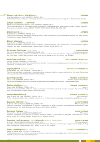 90 Linum strictum var. spicatum Pers.                                                                                                           LINACEAE
   Amendoeira, Querença, Loulé; 29SNB9115; 30/05/93; 220 m.
   Terófito frequente nos incultos, em arrelvados e clareiras de matos, sobre substrato calcário; Reg. Med.; Brachypodietalia distachyi.


   Linum strictum L. var. strictum                                                                                                              LINACEAE
   Monte Alcaria, Amendoeira, Querença, Loulé; 29SNB9214; 04/06/84; 300 m.
   Terófito muito abundante no território em incultos, em arrelvados e clareiras de matos, sobre substrato calcário. Latemed., Reg. Med.;
   Brachypodietalia distachyi; Quadros III/XXXIV; III/XXXVII; III/XLVI; III/XLVII; III/XLIX; III/L; III/LII; III/LIV.


   Linum tenue Desf.                                                                                                                            LINACEAE
   Gorpelha, Silves; 29SNB4615; 26/04/95; 60 m.
   Terófito muito comum em arrelvados e clareiras de matos, sobre solos calcários, com textura franca - argilosa; Reg. Med.; Molinio-
   Holoschoenion vulgaris; Quadro III/XXVII.


   Linum trigynum L.                                                                                                                            LINACEAE
   Gorpelha, Silves; 29SNB4615; 26/04/95; 60 m.
   Terófito muito abundante em terrenos cultivados, arrelvados e clareiras de matos, sobre solos calcários, com textura franca - argilosa.
   Latemed., Reg. Med.; Tuberarion guttatae; Quadros III/XXXV; III/XXXVII; III/XLIII; III/XLVI; III/L.


   Lithodora lusitanica (Samp.) Holub                                                                                                  BORAGINACEAE
   Cerro da Bemposta, Estoi, Faro; 29SNB9809; 26/04/93; 140 m.                                                                         “Erva-das-sete-sangrias”
   Caméfito muito comum no território, especialmente em matos e machiais, sobre solos calcários margosos e dolomíticos; Med.-Ibero-
   Atl.; Ulici-Cistion; Quadros III/XLIV; III/XLVIII; III/LII; III/LXII; III/LXIII; III/LXX; III/LXXI; III/LXXIV; III/LXXVI; III/LXXVII.


   Lobularia maritima (L.) Desv.                                                                                   BRASSICACEAE (CRUCIFERAE)
   Patroves, Albufeira; 29SNB6404; 11/02/96; 50 m.
   Caméfito pouco comum no território, característico de rochedos, muros e terrenos pedregosos, próximos do mar; Reg. Med.; Bromo-
   Oryzopsion; Quadros III/XXXVIII; III/LXXIV.


   Logfia gallica           (L.) Cosson & Germ.                                                                      ASTERACEAE (COMPOSITAE)
   Rocha da Pena, Salir, Loulé; 29SNB7923; 28/04/94; 460 m.
   Terófito muito abundante em arrelvados e clareiras de matos, sobre solos calcários margosos e dolomíticos; Reg. Med.; Trachynietalia
   distachyae; Quadros III/IX; III/XXXVI; III/XXXVII; III/XLVI; III/XLIX.


   Lolium perenne L.                                                                                                        POACEAE (GRAMINEAE)
   Goldra, Loulé; 29SNB8808; 03/05/93; 200 m.                                                       “Azevém, reigrásse-dos-ingleses”
   Hemicriptófito frequente no território, sobretudo em bermas de caminhos e estradas. Cosmop.; Plantaginetalia majoris.


   Lolium rigidum               Gaudin                                                                                      POACEAE (GRAMINEAE)
   Goldra, Loulé; 29SNB8908; 13/05/93; 180 m.                                                                                    “Azevém”
   Terófito ruderal e subnitrófilo, indiferente edáfico, muito comum no território, sobretudo em sítios ruderais e algo nitrificados; Reg.
   Med.; Thero-Brometalia; Quadros III/XXVIII; III/XXXIII; III/XXXVII.


   Lolium temulentum                    L.                                                                                  POACEAE (GRAMINEAE)
   Nave do Barão, Salir, Loulé; 29SNB8419; 14/04/94; 160 m.                                                                           “Joio; Joio-mutico”
   Terófito ruderal e subnitrófilo, indiferente edáfico, muito comum no território, em sítios ruderais e algo nitrificados. Cosmop.; Stellarietea mediae.


   Lonicera etrusca G. Santi                                                                                                          CAPRIFOLIACEAE
   S. Romão, S. Brás de Alportel; 29SNB9414; 23/04/93; 340 m.                                                 “Madressilva-caprina”
   Fanerófito escandente, pouco frequente no território, característico de sebes, machiais e orlas de bosques marcescentes, sobre
   substrato calcário; Reg. Med.; Quercetea ilicis; Quadros III/LXX; III/LXXI; III/LXXVII.


   Lonicera implexa Aiton                                                                                                             CAPRIFOLIACEAE
   Rocha da Pena, Salir; Loulé; 29SNB7824; 26/08/96; 300 m.                                                           “Madressilva”
   Fanerófito escandente, muito frequente no território, em matos, machiais e orlas de bosques; Reg. Med.; Quercetea ilicis; Quadros
   III/LXII; III/LXIII; III/LXX; III/LXXI; III/LXXIII; III/LXXIV; III/LXXV; III/LXXVI; III/LXXVII.


   Lonicera periclymenum                       subsp. hispanica (Boiss. & Reuter) Nyman                                               CAPRIFOLIACEAE
   S. Romão, S. Brás de Alportel; 29SNB9414; 23/04/93; 340 m.                                                 “Madressilva-caprina”
   Fanerófito escandente frequente no território, especialmente em lugares húmidos e sombrios que marginam cursos de água; W. Reg.
   Med.; Pruno-Rubion ulmifolii; Quadros III/XL; III/LXIV; III/LXVI; III/LXVII; III/LXVIII.


   Lotus castellanus Boiss. & Reuter                                                                                   FABACEAE (LEGUMINOSAE)
   Ribeira da Asseca, Tavira; 29SPB1412; 25/06/94; 40 m.
   Terófito pouco comum, no território, que vive em arrelvados, marginando os cursos de água, sobre solos frescos de textura arenosa.
   Gad.-Alg.arv. e Luso-Extrem.; Isoeto-Nanojuncetea.


   A FLORA
 