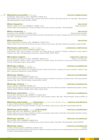 92 Magydaris panacifolia (Vahl)Lange                                                                     APIACEAE (UMBELLIFERAE)
   Estiramantens, Moncarapacho, Olhão; 29SPB1007; 21/06/96; 50 m.
   Hemicriptófito comum em clareiras de matos, incultos e bermas de caminhos, sobre solos calcários; W. Reg. Med.; Galio aparines-
   Alliarietalia petiolatae; Quadros III/LXXIII; III/LXXVI.


   Malva hispanica L.                                                                                                      MALVACEAE
   Melhanes, Aldeia da Tôr, Loulé; 29SNB8216; 13/04/94; 120 m.                                                        “Malva-de-espanha”
   Terófito ruderal muito abundante em campos cultivados e bermas de caminhos; Iber.-Maur.; Thero-Brometalia.


   Malva nicaeensis            All.                                                                                        MALVACEAE
   Amendoeira, Loulé; 29SNB9115; 05/08/94; 220 m.                                                            “Malva-de-folhas-redondas”
   Hemicriptófito ruderal e arvense muito abundante no território, particularmente em campos cultivados, bermas de caminhos e entulhos.
   Reg. Med.; Chenopodion muralis.


   Malva parviflora L.                                                                                                     MALVACEAE
   Ribeira Fonte Menaval, Querença, Loulé; 29SNB8818; 21/07/94; 150 m.
   Terófito nitrófilo muito comum em bermas de caminhos, entulhos e estrumeiras; Reg. Med.; Malvenion parviflorae; Quadro III/XXXII.


   Mantisalca salmantica                   (L.) Briq. & Cavillier                                      ASTERACEAE (COMPOSITAE)
   S. Miguel, Moncarapacho, Olhão; 29SPB0506; 30/06/93; 180 m.
   Hemicriptófito viário, muito abundante no território, que reveste bermas de caminhos e estradas, sobretudo em solos calcários
   margosos; Reg. Med.; Brachypodietalia phoenicoidis; Quadros III/XXIV; III/XXV; III/XXVI.


   Marrubium vulgare               L.                                                                        LAMIACEAE (LABIATAE)
   Cerro da Cabeça, Moncarapacho, Olhão; 29SPB0807; 05/05/93; 80 m.                                       “Marroio; marroio-branco”
   Proto-Hemicriptófito ruderal e nitrófilo, muito frequente em entulhos, bermas de caminhos e outros locais fortemente nitrificados.
   Cosmop.; Artemisietea vulgaris; Quadro III/XXV.


   Medicago arabica             (L.) Hudson.                                                            FABACEAE (LEGUMINOSAE)
   Patroves, Albufeira; 29SNB6404; 20/03/96; 50 m.
   Terófito ruderal e viário frequente em arrelvados húmidos, bermas de caminhos e margens de campos cultivados; Latemed.; Reg.
   Med.; Chenopodion-Stellarienea; Quadro III/XXXVII.


   Medicago doliata Carmign.                                                                            FABACEAE (LEGUMINOSAE)
   Cerro dos Fatos, Loulé; 29SNB8209; 05/06/94; 80 m.
   Terófito ruderal muito abundante no território, sobretudo em terrenos cultivados e incultos, em arrelvados anuais, sobre solos calcários
   margosos; Reg. Med.; Thero-Brometalia; Quadros III/XLVI; III/XLIX.


   Medicago minima               (L.) L.                                                                FABACEAE (LEGUMINOSAE)
   Patroves, Albufeira; 29SNB6404; 20/03/96; 50 m.
   Terófito muito frequente em arrelvados anuais e clareiras de matos, sobre solos calcários; Reg. Med.; Helianthemetea guttatae; Quadros
   III/XXXIV; III/XXXV; III/XXXVII; III/XXXIX; III/XLV; III/XLVI; III/XLIX; III/LIV.


   Medicago orbicularis                 (L.) Bartal.                                                    FABACEAE (LEGUMINOSAE)
   Cerro da Zorra, Amendoeira, Loulé; 29SNB9115; 21/04/93; 260 m.
   Terófito ruderal muito abundante em arrelvados anuais, sobre substrato calcário; Reg. Med.; Thero-Brometalia; Quadros III/XXVII; III/
   XXXV; III/XXXVII; III/XLVI.


   Medicago polymorpha subsp. microcarpa (Urb.) Bolòs, Vigo, Masalles & Ninot                            FABACEAE (LEGUMINOSAE)
   S. Romão, S. Brás de Alportel; 29SNB9414; 23/04/93; 340 m.
   Terófito ruderal comum em campos cultivados e incultos, em arrelvados; Reg. Eurosib. e Reg. Med.; Sisymbrietalia officinalis.


   Medicago polymorpha L. subsp. polymorpha                                                             FABACEAE (LEGUMINOSAE)
   Cabeça Gorda; Alte; Loulé; 29SNB7516; 10/03/94; 260 m.
   Terófito ruderal comum em campos cultivados e incultos, em arrelvados; Reg. Eurosib. e Reg. Med.; Sisymbrietalia officinalis; Quadros
   III/XXXIII; III/XXXIV; III/XXXVII; III/XXXVIII; III/XXXIX.


   Medicago rigidula             (L.) All.                                                              FABACEAE (LEGUMINOSAE)
   Cerro dos Fatos, Loulé; 29SNB8209; 05/06/94; 80 m.
   Terófito ruderal muito abundante em arrelvados secos, sobre substrato calcário; Reg. Med.; Thero-Brometalia; Quadro III/XXXVII.


   Medicago sativa L.                                                                                   FABACEAE (LEGUMINOSAE)
   S. Romão, S. Brás de Alportel; 29SNB9414; 23/04/93; 340 m.                                                                   “Luzerna”
   Hemicriptófito introduzido, originário da Ásia central, cultivado no território que aparece como subespontâneo nas bermas de caminhos
   e estradas; Brachypodietalia phoenicoidis.



   A FLORA
 