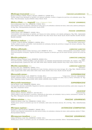 Medicago truncatula Gaertner                                                                                                FABACEAE (LEGUMINOSAE)                       93
Barranco da Moura, Malhão, Paderne, Albufeira; 29SNB7212; 12/04/94; 80 m.
Terófito ruderal muito abundante no território, em terrenos cultivados, incultos e margens de caminhos, em arrelvados secos; Reg.
Med.; Thero-Brometalia; Quadros III/XXXVI; III/XLV; III/XLIX; III/LIII.


Melica ciliata subsp. magnolii                          (Gren. & Godron) K. Richt.                                               POACEAE (GRAMINEAE)
Cerro da Bemposta, Estoi, Faro; 29SNB9708; 31/05/93; 160 m.
Hemicriptófito comum no território, sobretudo em sítios secos, em arrelvados e clareiras de matos, sobre solos calcários pedregosos.
W. Reg. Med.; Brachypodietalia phoenicoidis; Quadro III/XIX.


Melica minuta                L.                                                                                                  POACEAE (GRAMINEAE)
Cabeça Gorda, Loulé; 29SNB8913; 15/04/93; 340 m.
Hemicriptófito muito abundante no território, em fissuras de rochas calcárias e em taludes pedregosos; Reg. Med.; Asplenietalia
glandulosi; Quadros III/XVII; III/XVIII; III/XX; III/XXIII; III/XLIV; III/LI; III/LII; III/LIV; III/LXI; III/LXII; III/LXX; III/LXXI; III/LXXIII; III/LXXIV; III/LXXV;
III/LXXVI; III/LXXVII.


Melilotus indicus                  (L.) All.                                                                                FABACEAE (LEGUMINOSAE)
S. Romão, S. Brás de Alportel; 29SNB9513; 20/05/94; 300 m.                                         “Trevo-de-cheiro; anafe-menor”
Terófito ruderal e arvense, subnitrófilo, muito abundante em arrelvados, bermas de caminhos e margens de campos cultivados; Reg.
Med.; Holoschoenetalia vulgaris.


Melissa officinalis                 L.                                                                                            LAMIACEAE (LABIATAE)
Ribeira das Mercês, Alcaria do Gato, Querença, Loulé; 29SNB9116; 180 m.              “Melissa; melissa-bastarda; erva-cidreira; cidreira”
Proto-Hemicriptófito introduzido, originário da Ásia, pouco frequente no território que vive em locais húmidos, próximo de cursos de
água.


Mentha pulegium                     L.                                                                                            LAMIACEAE (LABIATAE)
Ribeira S. Lourenço, Almansil, Loulé; 29SNB8706; 04/06/93; 60 m.                                                                                            “Poejo”
Proto-Hemicriptófito, indiferente edáfico, muito abundante em arrelvados temporariamente encharcados; Atl., Subatl. e Reg. Med.;
Isoeto-Nanojuncetea; Quadros III/I; III/VI; III/X; III/XII; III/XIV; III/XV; III/XXVIII; III/XXIX; III/XXXVII; III/LV; III/LVI; III/LVII; III/LVIII; III/LIX.


Mentha suaveolens                        Ehrh.                                                                                    LAMIACEAE (LABIATAE)
Rio Seco, Estoi, Faro; 29SNB9709; 19/06/93; 110 m.                                                                                          “Mentastro”
Proto-Hemicriptófito ruderal muito abundante em locais húmidos, próximos de cursos de água; Atl. e Reg. Med.; Mentho-Juncion
inflexi; Quadros III/XI; III/XII; III/XIII; III/XIV; III/XVI; III/LVI; III/LVII; III/LVIII; III/LIX; III/LX; III/LXIV; III/LXVI; III/LXVII.


Mercurialis annua                   L.                                                                                                EUPHORBIACEAE
Espargal, Benafim Grande, Loulé; 29SNB7718; 15/12/94; 290 m.                                   “Urtiga-morta; mercurial; urtiga-bastarda”
Terófito indiferente edáfico, sub-rupícola e escionitrófilo, muito comum no território em sítios, mais ou menos, nitrificados; W. Reg.
Med.; Stellarietea mediae; Quadros III/XIX; III/XX; III/XXXI; III/XXXVIII; III/XLI; III/XLIII.


Mercurialis tomentosa                          L.                                                                                     EUPHORBIACEAE
Vale de Paraíso, Loulé; 29SNB8708; 20/02/95; 140 m.
Hemicriptófito calcícola e subnitrófilo, frequente no território, sobretudo em taludes e bermas de caminhos, sobre solos margosos; W.
Reg. Med.; Onopordion nervosi.


Merendera filifolia Camb.                                                                                                                          LILIACEAE
Tigarral, Paderne, Albufeira; 29SNB7211; 20/11/94; 80 m.                                                        “Quitamerendas”
Geófito bolboso muito abundante no território, sobretudo em sítios secos, em arrelvados, mais ou menos, submetidos a pisoteio; W.
Reg. Med.; Plantaginion serrariae (fácies outonal); Quadro III/LXIII.


Mibora minima                  (L.) Desv.                                                                               POACEAE (GRAMINEAE)
Cabeço da Câmara, Loulé, Faro; 29SNB9708; 31/05/93; 160 m.
Terófito pouco comum no território que vive em arrelvados, sobre solos de textura arenosa; Atl. e W. Reg. Med.; Helianthemetea
guttatae.


Micropus supinus                    L.                                                                          ASTERACEAE (COMPOSITAE)
Machados, S. Brás de Alportel; 29SNB9811; 28/04/92; 200 m.
Terófito muito frequente, característico de sítios secos e áridos, em arrelvados e clareiras de matos, sobre substrato calcário; R. Med.;
Brachypodietalia distachyi.


Micropyrum tenellum                         (L.) Link                                                                   POACEAE (GRAMINEAE)
Cabeço da Câmara, Loulé, Faro; 29SNB9708; 31/05/93; 160 m.
Terófito pouco comum, no território, que vive em arrelvados, sobre solos pouco evoluídos; Ibérico; Trachynietalia distachyae.




                                                                                                                                                              A FLORA
 