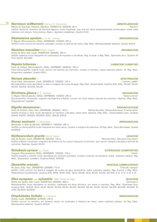 96 Narcissus willkommii (Samp.) A. Fernandes                                                                                             AMARYLLIDACEAE
   Ribeira de Quarteira, Paderne, Albufeira; 29SNB7210; 04/04/96; 30 m.                                                   “Narciso”
   Geófito raríssimo, exclusivo do Barrocal algarvio, muito localizado, que vive em sítios temporariamente encharcados, sobre solos
   calcários com textura franco-limosa, Algarv.; Agrostion castellanae; Quadro III/LVI.


   Neatostema apulum (L.) I. M.                        Johnst.                                                                               BORAGINACEAE
   S. Miguel, Moncarapacho, Olhão; 29SPB0506; 15/04/93; 260 m.
   Terófito muito comum em terrenos cultivados, incultos e clareiras de matos; Reg. Med.; Brachypodietalia distachyi; Quadro III/XLVI.


   Neotinea maculata (Desf.) Stearn                                                                                                            ORCHIDACEAE
   Rocha da Pena, Salir, Loulé; 29SNB7924; 04/04/95; 300 m.
   Geófito tuberoso muito frequente no sub-bosque de machiais e carvalhais; Reg. Eurosib. e Reg. Med.; Quercetea ilicis; Quadros III/
   XLIV; III/LXX; III/LXXVII.


   Nepeta tuberosa                  L.                                                                                            LAMIACEAE (LABIATAE)
   Cerro da Cabeça, Moncarapacho, Olhão; 29SPB0807; 05/05/93; 100 m.
   Proto-Hemicriptófito ruderal muito comum em bermas de caminhos, incultos e entulhos, sobre substrato básico; W. Reg. Med.;
   Onopordion castellani; Quadro III/XLI.


   Nerium oleander                  L.                                                                                                        APOCYNACEAE
   Fonte Filipe, Amendoeira, Loulé; 29SNB9215; 10/05/93; 120 m.                                                         “Loendro; adelfa”
   Microfanerófito muito abundante no leito e margens de cursos de água; Reg. Med.; Tamaricetalia; Quadros III/XI; III/XL; III/LXIV; III/LXV;
   III/LXVI; III/LXVII; III/LXVIII; III/LXIX.


   Nicotiana glauca R. C. Graham                                                                                                                SOLANACEAE
   S. Miguel, Moncarapacho, Olhão; 29SPB0506; 15/04/93; 260 m.                                                       “Charuto-do-rei”
   Microfanerófito introduzido, originário da Argentina e Bolívia, comum em sítios áridos e bermas de caminhos; Neotrop. (Reg. Med.;
   Onopordenion castellani.


   Nigella damascena L.                                                                                                                   RANUNCULACEAE
   Cerro do Guilhim, Estoi, Faro; 29SNB9406; 28/04/93; 100 m.                    “Barbas-de-velho, Damas-do-bosque; D.-entre-verde”
   Terófito arvense e viário muito abundante em terrenos cultivados, sobre solos calcários; Reg. Med.; Centaureetalia cyani; Quadros
   III/XXIV; III/XXVI; III/XXXIV; III/XXXVII; III/XLI; III/XLIII; III/XLVI.


   Nonea vesicaria                (L.) Reichenb.                                                                                             BORAGINACEAE
   Machados, S. Brás de Alportel; 29SNB9811; 19/04/92; 200 m.
   Terófito ou Hemicriptófito muito frequente em sítios secos, incultos e margens de caminhos. W. Reg. Med.; Thero-Brometalia; Quadro
   III/XXXVIII.


   Nothoscordum gracile (Aiton) Stearn                                                                                                                LILIACEAE
   Vale de Paraíso, Loulé; 29SNB8708; 08/03/94; 140 m.                                             “Alho-de-cheiro; Alho-sem-mau-cheiro”
   Geófito bolboso introduzido, originário da América do Sul, pouco frequente no território, que vive em campos cultivados e bermas de
   caminhos; Neotrop; Quadro III/LXV.


   Notobasis syriaca                   (L.) Cass.                                                                         ASTERACEAE (COMPOSITAE)
   Foupana, Moncarapacho, Olhão; 29SPB0809; 10/05/92; 120 m.                                                                  “Cardo”
   Terófito basófilo e nitrófilo muito abundante em terrenos cultivados, incultos e bermas de caminhos, sobre substrato calcário; Reg.
   Med.; Onopordion castellani; Quadros III/XXV; III/XXXIII.


   Oenanthe crocata L.                                                                                                      APIACEAE (UMBELLIFERAE)
   Rio Seco, Estoi, Faro; 29SNB9709; 22/08/96; 110 m.                                                                                    “Embude; rabaças”
   Geófito muito comum nos leitos e margens de cursos de água temporários, sobre substrato calcário; Reg. Eurosib. e Reg. Med.;
   Phalaridenion arundinaceae; Quadros III/XI; III/XIII; III/XIV; III/XL; III/LVI; III/LVIII; III/LX; III/LXV; III/LXVI; III/LXVIII; 4.12; 4.14; 4.16; 4.18.


   Olea europaea                var.   sylvestris        (Mill.) Rouy ex Hegi                                                                        OLEACEAE
   Rocha dos Soidos, Alte, Loulé; 29SNB7523; 09/06/93; 460 m.                                                                                        “Zambujeiro”
   Mesofanerófito muito abundante no território, sobretudo em sítios térmicos, em matos e machiais; Reg. Med.; Quercetea ilicis;
   Quadros III/XL; III/XLVII; III/LII; III/LXI; III/LXII; III/LXIV; III/LXV; III/LXVI; III/LXVII; III/LXIX; III/LXX; III/LXXI; III/LXXII; III/LXXIII; III/LXXIV; III/
   LXXV; III/LXXVI; III/LXXVII.


   Omphalodes linifolia                    (L.) Moench                                                                                       BORAGINACEAE
   Goldra, Loulé; 29SNB8908; 03/05/93; 240 m.
   Terófito comum no território, em terrenos secos, em arrelvados e clareiras de matos, sobre substrato calcário; W. Reg. Med.;
   Brachypodion distachyi; Quadros III/XLVI.




   A FLORA
 