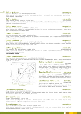 98 Ophrys dyris Maire                                                                                                 ORCHIDACEAE
   Fonte Filipe, Amendoeira, Loulé; 29SNB9215; 04/04/95; 180 m.                                                  “Moscardo-fusco”
   Geófito tuberoso muito frequente no território, sobretudo em arrelvados e clareiras de matos, sobre substratos calcários secos a
   frescos. Iber.-Atl.; Lygeo-Stipetalia.

   Ophrys fusca Link                                                                                                  ORCHIDACEAE
   Tigarral, Paderne, Albufeira; 29SNB7211; 03/03/95; 60 m.                                                          “Moscardo-fusco”
   Geófito tuberoso frequente em arrelvados, clareiras de matos e em tomilhais, sobre substrato calcário seco e frequentemente fresco;
   Reg. Med.; Brachypodietalia phoenicoidis.


   Ophrys lutea Cavanilles                                                                                            ORCHIDACEAE
   Cerro da Zorra, Amendoeira, Loulé; 29SNB9015; 13/04/93; 220 m.                                                        “Erva-vespa”
   Geófito tuberoso muito frequente em arrelvados, clareiras de matos e em tomilhais, sobre substrato calcário seco a fresco; Reg. W.
   Med.; Lygeo-Stipetalia; Quadros III/XXIV; III/XXVI.


   Ophrys scolopax Cavanilles                                                                                         ORCHIDACEAE
   Fonte Filipe, Amendoeira, Loulé; 29SNB9215; 04/04/95; 180 m.                                                 “Flor-dos-passarinhos”
   Geófito tuberoso frequente no território, sobretudo em arrelvados e clareiras de matos, sobre substratos calcários secos a frescos;
   Iber.-Atl.; Brachypodietalia phoenicoidis.

   Ophrys speculum Link                                                                                               ORCHIDACEAE
   Cerro da Zorra, Amendoeira, Querença, Loulé; 29SNB9016; 21/40/93; 160 m.                                          “Erva-abelha”
   Geófito tuberoso muito comum em arrelvados, clareiras de matos e tomilhais, sobre substrato calcário seco a fresco; Reg. Med.;
   Brachypodietalia phoenicoidis; Quadros III/XXIV; III/XXVI; III/LIV.


   Ophrys sphegifera Willd.                                                                                           ORCHIDACEAE
   Cerro do Guilhim, Estoi, Faro; 29SNB9407; 10/04/96; 200 m.                                                  “Flor-dos-passarinhos”
   Geófito tuberoso muito frequente em arrelvados, clareiras de matos e em tomilhais, sobre substrato calcário seco a fresco; Reg. W.
   Med.; Brachypodietalia phoenicoidis.
   Planta nova para Portugal.


   Ophrys tenthredinifera Willd.                                                                                      ORCHIDACEAE
   Ribeira das Mercês, Amendoeira, Querença, Loulé; 29SNB9415; 07/03/95; 260 m.
   Geófito tuberoso muito comum em arrelvados, clareiras de matos e tomilhais, sobre substratos básicos a neutros, secos a frescos;
   Reg. Med.; Lygeo-Stipetalia.
                                                                    Ophrys vernixia Brot. ORCHIDACEAE
                                                                                                                           “Erva-abelha”
                                                                    S. Romão, S. Brás de Alportel; 29SNB9414; 04/04/95; 300 m.
                                                                    Geófito tuberoso, pouco frequente, característico de arrelvados,
                                                                    clareiras de matos e orlas de bosques, sobre substrato calcário
                                                                    seco a fresco. Bét. e Iber.-Atl; Lygeo-Stipetea; Quadro III/LXXIII.


                                                                     Opuntia dillenii          (Ker-Gawler) Haw.         CACTACEAE
                                                                                                                   “Figueira-da-índia”
                                                                    Fonte da Murta; S. Brás de Alportel; 29SNB9312; 20/06/95; 200 m.
                                                                    Microfanerófito introduzido, originário da Jamaica, que aparece
                                                                    como subespontâneo em bermas de caminhos e sebes; Neotrop.


                                                                    Opuntia ficus-indica (L.) Miller                     CACTACEAE
                                                                                                                     “Figueira-da-índia”
               Fig. II/1.31 - Distribuição virtual de Ophrys        Patroves, Albufeira; 29SNB6405; 30/05/95; 50 m.
                                vernixia Brot.                      Microfanerófito introduzido, originário da América central e Florida,
                                                                    muito comum em sebes e bermas de caminhos; Neotrop.


   Orchis champagneuxii Barn.                                                                                         ORCHIDACEAE
   Cabeço da Câmara, Loulé; 29SNB8308; 16/03/95; 120 m.
   Geófito tuberoso muito comum em arrelvados e clareiras de matos, sobre solos calcários, secos a frescos, mais ou menos
   descarbonatados; W. Reg. Med.; Brachypodietalia phoenicoidis.


   Orchis conica Willd.                                                                                               ORCHIDACEAE
   Gorpelha, Silves; 29SNB4615; 31/01/95; 60 m.
   Geófito tuberoso muito frequente em arrelvados e clareiras de matos e de tomilhais, sobre solos calcários, mais ou menos
   descarbonatados; W. Reg. Med.; Brachypodietalia phoenicoidis; Quadro III/LXII.


   Orchis fragrans Pollini                                                                                            ORCHIDACEAE
   Barroqueiro, Peral, Moncarapacho, Olhão; 29SPB0310; 24/05/96; 160 m.
   Geófito tuberoso pouco comum, característico de arrelvados e clareiras de matos, sobre substratos básicos secos; Reg. Med.;
   Brachypodietalia phoenicoidis; Quadros III/XXIV; III/XXVI.


   A FLORA
 