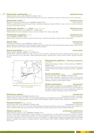 100 Orobanche amethystea Thuill.                                                                                           OROBANCHACEAE
    Estevais de Moiros, Alte, Loulé; 29SNB7318; 03/05/96; 100 m.
    Geófito epifítico de várias plantas, relativamente frequente no território, sobretudo em terrenos incultos; Reg. Eurosib. e Reg. Med.

    Orobanche minor Sm.                                                                                                    OROBANCHACEAE
    Ribeira de S. Lourenço, Almansil, Loulé; 29SNB8805; 04/06/93; 60 m.                                              “Erva-toira-menor”
    Terófito ou geófito epifítico de várias Leguminosas, sobretudo de espécies do género Trifolium, muito comum no território, sobretudo
    em terrenos cultivados; Cosmop.

    Orobanche ramosa subsp. nana ( Reuter) Coutinho                                                                        OROBANCHACEAE
    Espargal, Benafim Grande, Loulé; 29SNB7717; 11/04/96; 350 m.                                                               “Erva-toira-ramosa”
    Terófito epifítico de vários hospedeiros muito comum no território; Atl., Subatl. e Reg. Med.

    Orobanche sanguinea C. Presl                                                                                           OROBANCHACEAE
    Loulé; 29SNB8510; 20/06/94; 100 m.                                                                            “Erva-toira-denegrida”
    Geófito pouco frequente no território, epífito de Leguminosas, sobretudo de espécies do género Lotus; W. Reg. Med.


    Osyris alba L.                                                                                                              SANTALACEAE
    Fonte Filipe, Amendoeira, Loulé; 29SNB9215; 03/04/93; 150 m.                                                       “Cássia-branca”
    Nanofanerófito muito frequente em orlas de bosques, sebes e matos; Reg. Med.; Pistacio-Rhamnetalia alaterni; Quadros III/LXI; III/LXIII;
    III/LXVII; III/LXVIII; III/LXIX; III/LXX; III/LXXI; III/LXXIII; III/LXXVI; III/LXXVII.


    Osyris lanceolata Hochst. & Steud.                                                                                          SANTALACEAE
    Tigarral, Paderne, Albufeira; 29SNB7211; 11/10/95; 50 m.
    Nanofanerófito, indiferente edáfico, termófilo, muito comum no território, sobretudo em matos e machiais de sítios térmicos, mais
    ou menos próximos do mar; Iber.-Maur.; Pistacio-Rhamnetalia alaterni; Quadros III/LII; III/LXII; III/LXXII; III/LXXVI; III/LXXVII; III/LXXIV;
    III/LXXV.


                                                                            Otospermum glabrum                      ASTERACEAE (COMPOSITAE)
                                                                            (Lag.) Willk.
                                                                            Campina dos Galegos, Farrôbo, S. Brás de Alportel; 29SNB9614;
                                                                            20/05/94; 290 m.
                                                                            Terófito ruderal pouco frequente, no território, que vive em terrenos
                                                                            cultivados sobre solos calcários argilosos Iber.-Maur.; Stellarietea
                                                                            mediae.


                                                                            Oxalis articulata Savigny                            OXALIDACEAE
                                                                            Pena de Cima, Salir, Loulé; 29SNB8022; 03/01/95; 160 m.
                                                                            Hemicriptófito introduzido, originário da América do Sul, pouco
                                                                            comum, que existe como subespontânea nas proximidades de
                                                                            habitações; Neotrop. (Urtico-Silybion mariani).


                                                                            Oxalis corniculata L.                                OXALIDACEAE
                Fig. II/1.32 - Distribuição virtual de Otospermum           Ribeira das Mercês, Aldeia da Tôr, Loulé; 29SNB8816; 03/09/96; 130 m.
                                glabrum (Lag.) Willk.                       Hemicriptófito subnitrófilo muito frequente nas proximidades de
                                                                            povoações, especialmente em muros, empedrados e bermas de
                                                                            caminhos; Cosmop.; Stellarietea mediae; Quadro III/XIX.


    Oxalis pes-caprae L.                                                                                                         OXALIDACEAE
    Pena de Cima, Salir, Loulé; 29SNB8022; 03/01/95; 160 m.                                                  “Erva-pata; erva-canária; trevo-azêdo”
    Geófito cespitoso introduzido, originário do Cabo da Boa Esperança, muito abundante em terrenos cultivados e incultos, sobre solos
    argilosos; Fumarion wirtgenii-agrariae; Quadros III/XXX; III/XXXI; III/XXXIV; III/XXXVIII; III/XXXIX; III/XL; III/LXVIII; III/LXXII; 4.12.

    Paeonia broteroi Boiss. & Reuter                                                                                             PAEONIACEAE
    Rocha da Pena, Salir, Loulé; 29SNB7923; 15/04/93; 360 m.                                                        “Rosa-albardeira, rosa-de-lobo”
    Geófito tuberoso muito comum no território, particularmente em bosques e machiais, mais ou menos, cerrados, que é exclusiva do
    Oeste e Sudoeste Peninsular; Quercion broteroi; Quadros III/XLI; III/XLVII; III/LXVIII; III/LXX; III/LXXI; III/LXXIII; III/LXXVII.

    Pallenis spinosa            (L.) Cass.                                                                    ASTERACEAE (COMPOSITAE)
    Ribeira Menaval, Querença, Loulé; 29SNB8818; 03/09/96; 130 m.                                                       “Pampilho-espinhoso”
    Terófito ou hemicriptófito subarrosetado, ruderal e termófilo, muito abundante em incultos, bermas de caminhos, entulhos e margens
    de campos; Reg. Med.; Helianthemetea guttatae. No território estudado reconhecemos plantas com flores hemiliguladas, pequenas
    (2,5-8,5mm) e grandes (9-17,0 mm), as quais, de acordo com VALDÉS &. al., 1987, parecem corresponder respectivamente à variedade
    spinosa e variedade aurea (Salzm ex. Steudel) Coutinho; Quadros III/XXIV; III/XXV; III/XXVI; III/XXXIII; III/XXXVII; III/XLVI; III/XLVII; III/L;
    III/LIII; III/LIV.




    A FLORA
 