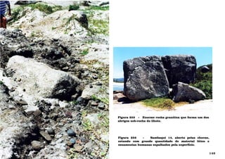 Figura 255 - Enorme rocha granítica que forma um dos
abrigos sob-rocha do ilhote.
Figura 256 - Sambaqui 14, aberto pelas chuvas,
estando com grande quantidade de material lítico e
ossamentas humanas espalhados pela superfície.
149
 