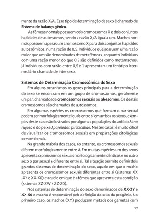 99
mente da razão X/A. Esse tipo de determinação de sexo é chamado de
Sistema de balanço gênico.
As fêmeas normais possuem dois cromossomos X e dois conjuntos
haploides de autossomos, sendo a razão X/A igual a um. Machos nor-
mais possuem apenas um cromossomo X para dois conjuntos haploides
autossômicos, numa razão de 0,5. Indivíduos que possuem uma razão
maior que um são denominados de metafêmeas, enquanto indivíduos
com uma razão menor do que 0,5 são definidos como metamachos.
Já indivíduos com razão entre 0,5 e 1 apresentam um fenótipo inter-
mediário chamado de intersexo.
Sistemas de Determinação Cromossômica do Sexo
Em alguns organismos os genes principais para a determinação
do sexo se encontram em um grupo de cromossomos, geralmente
um par, chamados de cromossomos sexuais ou alossomos. Os demais
cromossomos são chamados de autossomos.
Em algumas espécies os cromossomos que formam o par sexual
podem ser morfologicamente iguais entre si em ambos os sexos, exem-
plos deste caso são ilustrados por algumas populações do anfíbio Rana
rugosa e do peixe Apareiodon piracicabae. Nestes casos, é muito difícil
de visualizar os cromossomos sexuais em preparações citológicas
convencionais.
Na grande maioria dos casos, no entanto, os cromossomos sexuais
diferem morfologicamente entre si. Em muitas espécies um dos sexos
apresentacromossomossexuaismorfologicamenteidênticosenooutro
sexo o par sexual é diferente entre si. Tal situação permite definir dois
grandes sistemas de determinação do sexo, aquele em que o macho
apresenta os cromossomos sexuais diferentes entre si (sistemas XX
-XY e XX-X0) e aquele em que é a fêmea que apresenta esta condição
(sistemas ZZ-ZW e ZZ-Z0).
Nos sistemas de determinação do sexo denominados de XX-XY e
XX-X0 o macho é responsável pela definição do sexo da progênie. No
primeiro caso, os machos (XY) produzem metade dos gametas com
 
