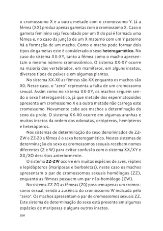 100
o cromossomo X e a outra metade com o cromossomo Y. Já a
fêmea (XX) produz apenas gametas com o cromossomo X. Caso o
gameta feminino seja fecundado por um X do pai é formada uma
fêmea e, no caso da junção de um X materno com um Y paterno
há a formação de um macho. Como o macho pode formar dois
tipos de gametas este é considerado o sexo heterogamético. No
caso do sistema XX-XY, tanto a fêmea como o macho apresen-
tam o mesmo número cromossômico. O sistema XX-XY ocorre
na maioria dos vertebrados, em mamíferos, em alguns insetos,
diversos tipos de peixes e em algumas plantas.
No sistema XX-X0 as fêmeas são XX enquanto os machos são
X0. Nesse caso, o “zero” representa a falta de um cromossomo
sexual. Assim como no sistema XX-XY, os machos seguem sen-
do o sexo heterogamético, já que metade dos espermatozoides
apresenta um cromossomo X e a outra metade não carrega este
cromossomo. Novamente cabe aos machos a determinação do
sexo da prole. O sistema XX-X0 ocorre em algumas aranhas e
muitos insetos da ordem dos odonatas, ortópteros, hemípteros
e heterópteros.
Nos sistemas de determinação do sexo denominados de ZZ-
ZW e ZZ-Z0 a fêmea é o sexo heterogamético. Nestes sistemas de
determinação do sexo os cromossomos sexuais recebem nomes
diferentes (Z e W) para evitar confusão com o sistema XX/XY e
XX/XO descritos anteriormente.
O sistema ZZ-ZW ocorre em muitas espécies de aves, répteis
e lepidópteros (mariposas e borboletas), neste caso os machos
apresentam o par de cromossomos sexuais homólogos (ZZ),
enquanto as fêmeas possuem um par não-homólogo (ZW).
No sistema ZZ-ZO as fêmeas (Z0) possuem apenas um cromos-
somo sexual, sendo a ausência do cromossomo W indicada pelo
“zero”. Os machos apresentam o par de cromossomos sexuais ZZ.
Este sistema de determinação do sexo está presente em algumas
espécies de mariposas e alguns outros insetos.
 