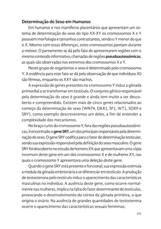 101
Determinação do Sexo em Humanos
Em humanos e nos mamíferos placentários que apresentam um sis-
tema de determinação do sexo do tipo XX-XY os cromossomos X e Y
possuemmorfologiaetamanhoscontrastantes,sendooYmenordoque
o X. Mesmo com essas diferenças, estes cromossomos pareiam durante
a meiose. O pareamento se dá pelo fato de apresentarem regiões com o
mesmoconteúdoinformativo,chamadasderegiõespseudoautossômicas,
as quais são observadas nos extremos dos cromossomos X e Y.
Neste grupo de organismos o sexo é determinado pelo cromossomo
Y. A evidência para este fato se dá pela observação de que indivíduos X0
são fêmeas, enquanto os XXY são machos.
A expressão de genes presentes no cromossomo Y induz a gônada
primordialasetransformaremtestículo.Oconjuntogênicoresponsável
pela determinação do sexo é grande e ainda tem muito a ser desco-
berto e compreendido. Existem mais de cinco genes relacionados ao
começo da determinação do sexo (WNT4, DAX1, SF1, WT1, SOX9 e
SRY), como exemplo descreveremos um deles, a fim de entender a
complexidade dos mecanismos.
NobraçocurtodocromossomoY,foradasregiõespseudoautossômi-
cas,éencontradoogeneSRY,umdosprincipaisresponsáveispeladetermi-
naçãodosexo.OgeneSRYcodificaparaofatordedeterminaçãotesticular,
sendosuaexpressãoresponsávelpeladefiniçãodosexomasculino.Ogene
SRYfoidescobertonoestudodehomensXXqueapresentavamumacópia
incomum deste gene em um dos cromossomos X e de mulheres XY, nas
quais o cromossomo Y apresentava uma deleção deste gene.
QuandoogeneSRYestápresenteefuncional,suaexpressãoestimula
ameduladagônadaembrionáriaasediferenciaremtestículo.Aprodução
detestosteronapelotestículoinduzoaparecimentodascaracterísticas
masculinas no indivíduo. A ausência deste gene, como ocorre normal-
mentenasmulheres,implicanafaltadofatordeterminantedetestículos,
provocando o desenvolvimento do córtex da gônada primitiva, o que
origina o ovário. Na ausência de grandes quantidades de testosterona
ocorre o aparecimento das características sexuais femininas.
 