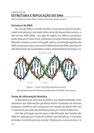 114
CAPÍTULO VII
ESTRUTURA E REPLICAÇÃO DO DNA
Maria de Mascena Diniz Maia e Hildson Dornelas Angelo da Silva
Estrutura do DNA
No ano de 2003, o mundo científico comemorou 50 anos da des-
coberta da estrutura em dupla hélice do ácido desoxirribonucleico, o
tão famoso ADN (DNA - sua sigla do inglês). Em 1953 os estudiosos
James Watson e Francis Crick, utilizando os conhecimentos obtidos por
Miescher, Kossel, Levene e Chargaff, sobre a constituição química do
DNA, propuseram que a estrutura tridimensional do DNA consistia em
dois filamentos de nucleotídeos unidos antiparalelamente (Figura 1).
Figura 1 – Fonte: http://de.wikipedia.org/wiki/
Desoxyribonukleins%C3%A4ure#mediaviewer/File:DNA_Overview.pn
Fonte da Informação Genética
A descoberta da estrutura do DNA e sua responsabilidade como
detentora das informações genéticas foram resultados de diversas
pesquisas científicas que começaram em meados do século XIX com
o isolamento do ácido desoxirribonucleico por Friedrich Miescher.
Um dos principais passos para a identificação das funções do
DNA foi realizado por Frederick Griffith, que identificou o chamado
princípio transformante ao estudar Streptococcus pneumoniae e o
Chargaff,
sobre
a
constituição
química
do
DNA,
propuseram
que
a
estrutura
tridimensional
do
DNA
consistia
em
dois
filamentos
de
nucleotídeos
unidos
antiparalelamente
(Figura
1).
Fonte
da
Informação
Genética
A
descoberta
da
estrutura
do
DNA
e
sua
responsabilidade
como
detentora
das
informações
genéticas
foram
resultados
de
diversas
pesquisas
científicas
que
começaram
em
meados
do
século
XIX
com
o
isolamento
do
ácido
desoxirribonucleico
por
Friedrich
Miescher.
Um
dos
principais
passos
para
a
identificação
das
funções
do
DNA
foi
realizado
por
Frederick
Griffith,
que
identificou
o
chamado
princípio
transformante
ao
estudar
Streptococcus
pneumoniae
e
o
seu
processo
de
transformação.
Esse
foi
o
primeiro
indício
do
armazenamento
de
informações
no
DNA,
para
tal,
Griffith
investigou
a
passagem
de
informações
entre
bactérias
ao
injetar
bactérias
tipo
IS
vivas
Figura
1.
Fonte:
http://de.wikipedia.org/wiki/Desoxyribonukleins%
C3%A4ure#mediaviewer/File:DNA_Overview.pn
g
 