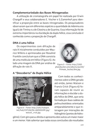 119
Complementariedade das Bases Nitrogenadas
A utilização de cromatografia em papel foi realizada por Erwin
Chargaff e seus colaboradores E. Vischer e S.Zamenhof para iden-
tificar a proporção entre as bases nitrogenadas. Os pesquisadores
observaram que em diferentes espécies a quantidade de Adenina era
igual à de Timina e a de Citosina a de Guanina. Essa informação foi de
extrema importância na elucidação da dupla hélice, essa conclusão é
conhecida como a proporção de Chargaff.
DNA é uma hélice
Os experimentos com difração de
raio X inicialmente conduzidos por Mau-
rice Wilkins e aprimorados por Rosalind
Franklin concluíram que o DNA consistia
de uma molécula em hélice (Figura 5). Ao
lado uma imagem do DNA por análise de
difração de raio X.
A “Descoberta” da Dupla Hélice
Com todos os conheci-
mentos sobre o DNA gerado
até então, James Watson e
Francis Crick (Figura 6) fo-
ram capazes de reunir as
informações e elucidar a du-
pla hélice do DNA, que seria
formada por duas cadeias de
polinucleotídeos orientados
antiparalelamente e que in-
teragem por interações de
hidrogênio (pontes de hidro-
gênio). Com giro para a direita e apresenta dois sulcos um maior maior
e um menor. Vale salientar que todas essas conclusões são resultados
115
DNA é uma hélice
Os experimentos com difração de raio X
inicialmente conduzidos por Maurice Wilkins e
aprimorados por Rosalind Franklin concluíram
que o DNA consistia de uma molécula em hélice
(Figura 5). Ao lado uma imagem do DNA por
análise de difração de raio X.
Figura 4. Fonte: http://upload.wikimedia.org/wikipedia/commons/thumb/d/de/RNA-Nucleobases.svg/2000px-RNA-
Nucleobases.svg.png
Figura 5. Fonte:
http://i202.photobucket.com/albums/aa1
44/
Primate_bucket/dna.jpg
Figura 5 – Fonte: http://i202.
photobucket.com/albums/aa144/
Primate_bucket/dna.jpg
la Hélice
nhecimentos sobre o DNA gerado até então, James
k (Figura 6)
reunir as
dupla hélice
ada por duas
nucleotídeos
mente e que
rações de
hidrogênio).
e apresenta
maior e um
que todas
esultados em
união de
endo descobertas por vários pesquisadores.
onal da dupla hélice configura a estrutura secundária
Figura 6. Fonte: http://cdn2.hubspot.net/hub/237126/file-660502209-
jpg/watson_crick.jpg
Figura 6 – Fonte: http://cdn2.hubspot.
net/hub/237126/file-660502209-jpg/
watson_crick.jpg
 