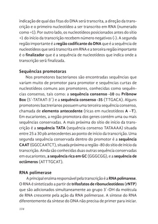 134
indicação de qual das fitas do DNA será transcrita, a direção da trans-
crição e o primeiro nucleotídeo a ser transcrito em RNA (numerado
como +1). Por outro lado, os nucleotídeos posicionados antes do sítio
+1 do início da transcrição recebem número negativos (-). A segunda
região importante é a região codificante do DNA que é a sequência de
nucleotídeos que será transcrita em RNA e a terceira região importante
é o finalizador que é a sequência de nucleotídeos que indica onde a
transcrição será finalizada.
Sequências promotoras
Nos promotores bacterianos são encontradas sequências que
variam muito de promotor para promotor e sequências curtas de
nucleotídeos comuns aos promotores, conhecidas como sequên-
cias consenso, tais como: a sequência consenso -10 ou Pribnow
Box (5´-TATAAT-3´) e a sequência consenso -35 (TTGACA). Alguns
promotores bactrerianos possuem uma terceira sequência consenso,
chamada de elemento antecedente (ricas em nucleotídeos A –T).
Em eucariontes, a região promotora dos genes contém uma ou mais
sequências conservadas. A mais próxima do sítio de início da trans-
crição é a sequência TATA (sequência consenso TATAAAA) situada
entre 25 a 30 pb antecedentes ao ponto de início da transcrição. Uma
segunda sequência conservada dentro do promotor é a sequência
CAAT (GGCCAATCT), situada próximo a região -80 do sítio de início da
transcrição. Ainda são conhecidas duas outras sequência conservadas
em eucariontes, a sequência rica em GC (GGGCGG), e a sequência de
octâmeros (ATTTGCAT).
RNA polimerase
AprincipalenzimaresponsávelpelatranscriçãoéaRNApolimarese.
O RNA é sintetizado a partir de trifosfatos de ribonucleotídeos (rNTP)
que são adicionados simultaneamente ao grupo 3´-OH da molécula
de RNA crescente pela ação da RNA polimerase. A síntese do RNA
diferentemente da síntese do DNA não precisa de primer para iniciar.
 