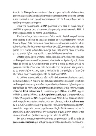 135
A ação da RNA polimerase é corroborada pela ação de várias outras
proteínas acessórias que auxiliam no reconhecimento do gene correto
a ser transcrito e no posicionamento correto da RNA polimerase na
região promotora do gene.
Uma vez posicionada, a RNA polimerase separa as duas cadeias
do DNA e apenas uma das moléculas participa na síntese do RNA. A
transcrição ocorre de forma unidirecional.
Em bactérias, existe apenas uma única molécula de RNA polimerase
que catalisa a síntese de todas as classes de RNA bacteriano: RNAm,
RNAr e RNAt. Esta proteína é constituída de cinco subunidades: duas
subunidades alfa (α2
), uma subunidade beta (β), uma subunidade beta
primo (β´) e uma subunidade ômega (ω). Esta última não é essencial
para a transcrição, mas auxilia na estabilidade da enzima.
O fator sigma (Ϭ) é um fator essencial no reconhecimento e ligação
da RNA polimerase no sítio promotor bacteriano. Após a ligação deste
fator ao cerne da RNA polimerase ocorre o início da transcrição na
posição correta. Contudo, este fator não tem função no alongamen-
to da transcrição. Assim, após a iniciação da transcrição, o fator Ϭ é
liberado e ocorre o alongamento da cadeia de RNA.
Aspolimeraseeucarióticassãomultiméricascommaisdeumadúzia
de subuinidades. A maioria das células eucariontes possuem três tipos
de RNA polimerase, que serão responsáveis pela transcrição de grupos
específicos de RNA: a RNA polimerase I, que transcreve rRNAs, exceto
rRNA 5S; RNA polimerase II, transcreve pré-RNAm, snoRNA, alguns
miRNA e alguns snRNAs; e a RNA polimerase III, que transcreve RNAt,
rRNAr 5S, alguns snRNAs e alguns miRNAs. Além disso, dois outro tipos
de RNA polimerases foram descritas em plantas, as RNA polimerases
IV e V. A RNA polimerase IV pequenos RNAs de interferência (siRNA)
no núcleo vegetal e possui papel na metilação DNA e na estrutura da
cromatina e a RNA polimerase V, transcreve alguns siRNA e transcritos
não codificadores (antisenso) de genes alvo de siRNA.
Em eucariontes, o reconhecimento do promotor se dá através de
proteínas acessórias que se ligam ao promotor, auxiliando no reconhe-
 