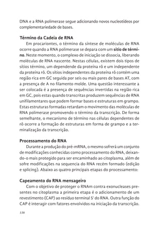 138
DNA e a RNA polimerase segue adicionando novos nucleotídeos por
complementariedade de bases.
Término da Cadeia de RNA
Em procariontes, o término da síntese de moléculas de RNA
ocorre quando a RNA polimerase se depara com um sítio de térmi-
no. Neste momento, o complexo de iniciação se dissocia, liberando
moléculas de RNA nascente. Nestas células, existem dois tipos de
sítios término, um dependende da proteína rô e um independente
da proteína rô. Os sítios independentes da proteína rô contém uma
região rica em GC seguida por seis ou mais pares de bases AT, com
a presença de A no filamento molde. Uma questão interessante a
ser colocada é a presença de sequências invertidas na região rica
em GC, pois estas quando transcritas produzem sequências de RNA
unifilamentares que podem formar bases e estruturas em grampo.
Estas estruturas formadas retardam o movimento das moléculas de
RNA polimerase promovendo o término da transcrição. De forma
semelhante, o mecanismo de término nas células dependentes de
rô ocorre a formação de estruturas em forma de grampo e a ter-
minalização da transcrição.
Processamento do RNA
Durante a produção do pré-mRNA, o mesmo sofrerá um conjunto
de modificações conhecidas como processamento do RNA, deixan-
do-o mais protegido para ser encaminhado ao citoplasma, além de
sofre modificações na sequencia do RNA recém formado (edição
e splicing). Abaixo as quatro principais etapas do processamento:
Capeamento do RNA mensageiro
Com o objetivo de proteger o RNAm contra exonucleases pre-
sentes no citoplasma a primeira etapa é o adicionamento de um
revestimento (CAP) ao resíduo terminal 5’ do RNA. Outra função do
CAP é interagir com fatores envolvidos na iniciação da transcrição.
 