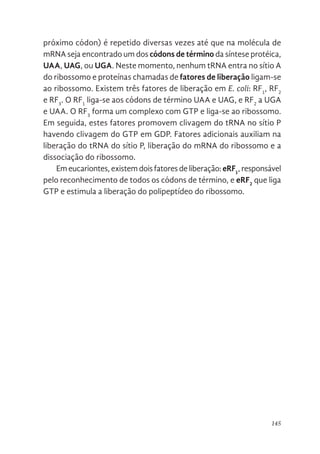 145
próximo códon) é repetido diversas vezes até que na molécula de
mRNA seja encontrado um dos códons de término da síntese protéica,
UAA, UAG, ou UGA. Neste momento, nenhum tRNA entra no sítio A
do ribossomo e proteínas chamadas de fatores de liberação ligam-se
ao ribossomo. Existem três fatores de liberação em E. coli: RF1
, RF2
e RF3
. O RF1
liga-se aos códons de término UAA e UAG, e RF2
a UGA
e UAA. O RF3
forma um complexo com GTP e liga-se ao ribossomo.
Em seguida, estes fatores promovem clivagem do tRNA no sítio P
havendo clivagem do GTP em GDP. Fatores adicionais auxiliam na
liberação do tRNA do sítio P, liberação do mRNA do ribossomo e a
dissociação do ribossomo.
Em eucariontes, existem dois fatores de liberação:eRF1
, responsável
pelo reconhecimento de todos os códons de término, e eRF2
que liga
GTP e estimula a liberação do polipeptídeo do ribossomo.
 