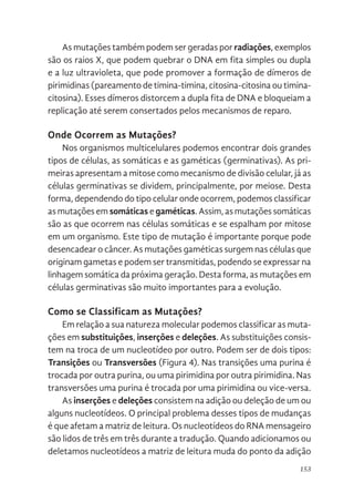 153
As mutações também podem ser geradas por radiações, exemplos
são os raios X, que podem quebrar o DNA em fita simples ou dupla
e a luz ultravioleta, que pode promover a formação de dímeros de
pirimidinas (pareamento de timina-timina, citosina-citosina ou timina-
citosina). Esses dímeros distorcem a dupla fita de DNA e bloqueiam a
replicação até serem consertados pelos mecanismos de reparo.
Onde Ocorrem as Mutações?
Nos organismos multicelulares podemos encontrar dois grandes
tipos de células, as somáticas e as gaméticas (germinativas). As pri-
meiras apresentam a mitose como mecanismo de divisão celular, já as
células germinativas se dividem, principalmente, por meiose. Desta
forma, dependendo do tipo celular onde ocorrem, podemos classificar
as mutações em somáticas e gaméticas. Assim, as mutações somáticas
são as que ocorrem nas células somáticas e se espalham por mitose
em um organismo. Este tipo de mutação é importante porque pode
desencadear o câncer. As mutações gaméticas surgem nas células que
originam gametas e podem ser transmitidas, podendo se expressar na
linhagem somática da próxima geração. Desta forma, as mutações em
células germinativas são muito importantes para a evolução.
Como se Classificam as Mutações?
Em relação a sua natureza molecular podemos classificar as muta-
ções em substituições, inserções e deleções. As substituições consis-
tem na troca de um nucleotídeo por outro. Podem ser de dois tipos:
Transições ou Transversões (Figura 4). Nas transições uma purina é
trocada por outra purina, ou uma pirimidina por outra pirimidina. Nas
transversões uma purina é trocada por uma pirimidina ou vice-versa.
As inserções e deleções consistem na adição ou deleção de um ou
alguns nucleotídeos. O principal problema desses tipos de mudanças
é que afetam a matriz de leitura. Os nucleotídeos do RNA mensageiro
são lidos de três em três durante a tradução. Quando adicionamos ou
deletamos nucleotídeos a matriz de leitura muda do ponto da adição
 