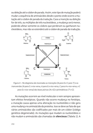 154
ou deleção até o códon de parada. Assim, este tipo de mutação poderá
mudar a sequência de aminoácidos desde o ponto onde ocorre a mu-
tação até o códon de parada da tradução. Caso a inserção ou deleção
for de três, ou múltiplos de três nucleotídeos, a mudança será menor,
podendo afetar somente os códons que perderam ou ganharam nu-
cleotídeos, mas não se estenderá até o códon de parada da tradução.
Figura 4 – No diagrama são mostradas as transições (A para G e C para T) e as
transversões (A para C e vice-versa, A para G e vice-versa, C para A e vice-versa, e C
para G e vice-versa) das bases púricas (A e G) e pirimidínicas (T e C).
As mutações ocorrem ao nível molecular e nem sempre apresen-
tam efeitos fenotípicos. Quando não ocorre mudança no fenótipo,
a mutação causa apenas uma alteração no nucleotídeo e não gera
uma mudança no aminoácido da proteína. Isso se deve ao fato de que
vários aminoácidos são codificados por mais de um códon (código
genético degenerado). As mutações que mudam os nucleotídeos e
não mudam o aminoácido são chamadas de silenciosas (Tabela 1). A
Figura 4. No diagrama são mostradas as transições (A para G e C
transversões (A para C e vice-versa, A para G e vice-versa, C pa
versa, e C para G e vice-versa) das bases púricas (A e G) e pirim
C).
As mutações ocorrem ao nível molecular e nem sempre
efeitos fenotípicos. Quando não ocorre mudança no fenótipo, a mu
apenas uma alteração no nucleotídeo e não gera uma mudança no
da proteína. Isso se deve ao fato de que vários aminoácidos são
por mais de um códon (código genético degenerado). As mutações
 