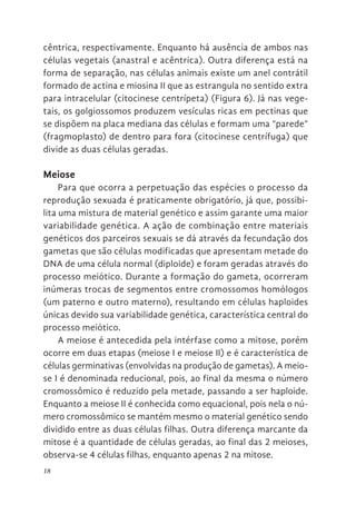 18
cêntrica, respectivamente. Enquanto há ausência de ambos nas
células vegetais (anastral e acêntrica). Outra diferença está na
forma de separação, nas células animais existe um anel contrátil
formado de actina e miosina II que as estrangula no sentido extra
para intracelular (citocinese centrípeta) (Figura 6). Já nas vege-
tais, os golgiossomos produzem vesículas ricas em pectinas que
se dispõem na placa mediana das células e formam uma “parede”
(fragmoplasto) de dentro para fora (citocinese centrífuga) que
divide as duas células geradas.
Meiose
Para que ocorra a perpetuação das espécies o processo da
reprodução sexuada é praticamente obrigatório, já que, possibi-
lita uma mistura de material genético e assim garante uma maior
variabilidade genética. A ação de combinação entre materiais
genéticos dos parceiros sexuais se dá através da fecundação dos
gametas que são células modificadas que apresentam metade do
DNA de uma célula normal (diploide) e foram geradas através do
processo meiótico. Durante a formação do gameta, ocorreram
inúmeras trocas de segmentos entre cromossomos homólogos
(um paterno e outro materno), resultando em células haploides
únicas devido sua variabilidade genética, característica central do
processo meiótico.
A meiose é antecedida pela intérfase como a mitose, porém
ocorre em duas etapas (meiose I e meiose II) e é característica de
células germinativas (envolvidas na produção de gametas). A meio-
se I é denominada reducional, pois, ao final da mesma o número
cromossômico é reduzido pela metade, passando a ser haploide.
Enquanto a meiose II é conhecida como equacional, pois nela o nú-
mero cromossômico se mantém mesmo o material genético sendo
dividido entre as duas células filhas. Outra diferença marcante da
mitose é a quantidade de células geradas, ao final das 2 meioses,
observa-se 4 células filhas, enquanto apenas 2 na mitose.
 