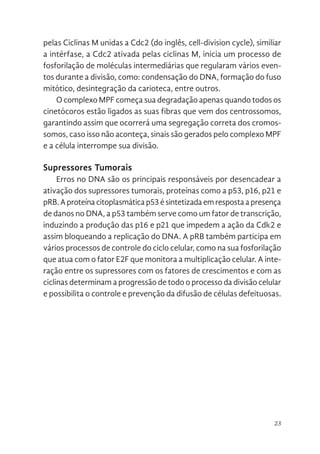23
pelas Ciclinas M unidas a Cdc2 (do inglês, cell-division cycle), similiar
a intérfase, a Cdc2 ativada pelas ciclinas M, inicia um processo de
fosforilação de moléculas intermediárias que regularam vários even-
tos durante a divisão, como: condensação do DNA, formação do fuso
mitótico, desintegração da carioteca, entre outros.
O complexo MPF começa sua degradação apenas quando todos os
cinetócoros estão ligados as suas fibras que vem dos centrossomos,
garantindo assim que ocorrerá uma segregação correta dos cromos-
somos, caso isso não aconteça, sinais são gerados pelo complexo MPF
e a célula interrompe sua divisão.
Supressores Tumorais
Erros no DNA são os principais responsáveis por desencadear a
ativação dos supressores tumorais, proteínas como a p53, p16, p21 e
pRB.Aproteínacitoplasmáticap53ésintetizadaemrespostaapresença
de danos no DNA, a p53 também serve como um fator de transcrição,
induzindo a produção das p16 e p21 que impedem a ação da Cdk2 e
assim bloqueando a replicação do DNA. A pRB também participa em
vários processos de controle do ciclo celular, como na sua fosforilação
que atua com o fator E2F que monitora a multiplicação celular. A inte-
ração entre os supressores com os fatores de crescimentos e com as
ciclinas determinam a progressão de todo o processo da divisão celular
e possibilita o controle e prevenção da difusão de células defeituosas.
 