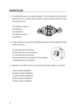 24
EXERCÍCIOS
1 – Considerando que uma espécie possua nº de cromossomas nas células
somáticas 2n=6, a célula apresentada na figura abaixo evidencia esses
cromossomas em:
a) metáfase mitótica.
b) metáfase I.
c) metáfase II.
d) anáfase mitótica.
e) anáfase II
2 – A figura abaixo é característica da Meiose porque só nesse tipo de divisão
celular acontece:
a) separação dos centríolos.
b) formação do fuso acromático.
c) manutenção da carioteca.
d) pareamento dos cromossomos homólogos.
e) duplicação das cromátides.
3 – Quando uma célula conclui a sua primeira divisão meiótica, resultam:
a) duas células diplóides.
b) quatro células diplóides.
c) quatro células haplóides.
d) duas células haplóides.
e) duas células somáticas.
21
Exercícios
1 - Considerando que uma espécie possua nº de cromossomas nas
células somáticas 2n=6, a célula apresentada na figura abaixo evidencia
esses cromossomas em:
a) metáfase mitótica.
b) metáfase I.
c) metáfase II.
d) anáfase mitótica.
e) anáfase II
2 - A figura abaixo é característica da Meiose porque só nesse tipo de
divisão celular acontece:
a) separação dos centríolos.
b) formação do fuso acromático.
21
Exercícios
1 - Considerando que uma espécie possua nº de cromossomas nas
células somáticas 2n=6, a célula apresentada na figura abaixo evidencia
esses cromossomas em:
a) metáfase mitótica.
b) metáfase I.
c) metáfase II.
d) anáfase mitótica.
e) anáfase II
2 - A figura abaixo é característica da Meiose porque só nesse tipo de
divisão celular acontece:
a) separação dos centríolos.
b) formação do fuso acromático.
 