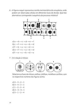 26
6 – A figura a seguir representa o tecido meristemático de uma planta, onde
podem ser observadas células em diferentes fases de divisão. Qual das
alternativas corresponde à sequência do processo mitótico?
a) a → b → c → d → e → f
b) c → f → e → a → b → d
c) f → b → a → e → d → c
d) e → f → c → a → b → d
e) f → e → c → b → d → a
7 – Em relação à mitose:
Relacione as fases da mitose: anáfase, telófase, metáfase e prófase, com
os respectivos números das figuras acima:
a) 4 – 3 – 2 – 1
b) 3 – 4 – 2 – 1
c) 1 – 2 – 3 – 4
d) 2 – 3 – 4 – 1
e) 3 – 1 – 2 – 4
23
d) irmãos na anáfase I e anáfase da mitose e homólogos na anáfase II.
e) irmãos nas anáfases I e II e anáfase da mitose.
6 - A figura a seguir representa o tecido meristemático de uma planta,
onde podem ser observadas células em diferentes fases de divisão. Qual
das alternativas corresponde à sequência do processo mitótico?
a) a  b  c  d  e  f
b) c  f  e  a  b  d
c) f  b  a  e  d  c
d) e  f  c  a  b  d
e) f  e  c  b  d  a
7 - Em relação à mitose:
Relacione as fases da mitose: anáfase, telófase, metáfase e prófase, com os
respectivos números das figuras acima:
a) 4 - 3 - 2 – 1
b) 3 - 4 - 2 – 1
c) 1 - 2 - 3 - 4
d) 2 - 3 - 4 – 1
e) 3 - 1 - 2 - 4
 