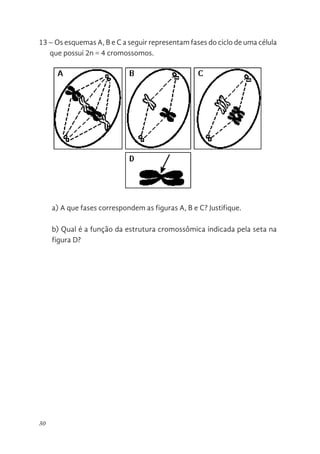 30
13 – Os esquemas A, B e C a seguir representam fases do ciclo de uma célula
que possui 2n = 4 cromossomos.
a) A que fases correspondem as figuras A, B e C? Justifique.
b) Qual é a função da estrutura cromossômica indicada pela seta na
figura D?
Soma das alternativas corretas ( )
13 - Os esquemas A, B e C a seguir representam fases do c
célula que possui 2n = 4 cromossomos.
a) A que fases correspondem as figuras A, B e C? Justifique.
b) Qual é a função da estrutura cromossômica indicada pela seta n
 
