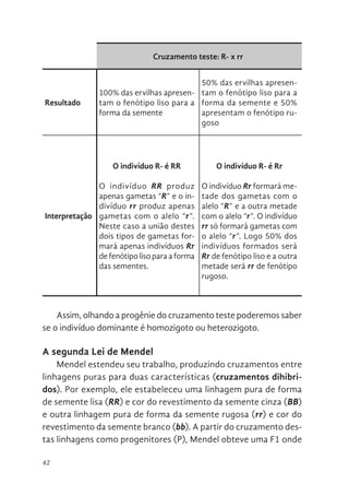 42
Cruzamento teste: R- x rr
Resultado
100% das ervilhas apresen-
tam o fenótipo liso para a
forma da semente
50% das ervilhas apresen-
tam o fenótipo liso para a
forma da semente e 50%
apresentam o fenótipo ru-
goso
Interpretação
O indivíduo R- é RR
O indivíduo RR produz
apenas gametas “R” e o in-
divíduo rr produz apenas
gametas com o alelo “r”.
Neste caso a união destes
dois tipos de gametas for-
mará apenas indivíduos Rr
de fenótipo liso para a forma
das sementes.
O indivíduo R- é Rr
O indivíduo Rr formará me-
tade dos gametas com o
alelo “R” e a outra metade
com o alelo “r”. O indivíduo
rr só formará gametas com
o alelo “r”. Logo 50% dos
indivíduos formados será
Rr de fenótipo liso e a outra
metade será rr de fenótipo
rugoso.
Assim, olhando a progênie do cruzamento teste poderemos saber
se o indivíduo dominante é homozigoto ou heterozigoto.
A segunda Lei de Mendel
Mendel estendeu seu trabalho, produzindo cruzamentos entre
linhagens puras para duas características (cruzamentos dihíbri-
dos). Por exemplo, ele estabeleceu uma linhagem pura de forma
de semente lisa (RR) e cor do revestimento da semente cinza (BB)
e outra linhagem pura de forma da semente rugosa (rr) e cor do
revestimento da semente branco (bb). A partir do cruzamento des-
tas linhagens como progenitores (P), Mendel obteve uma F1 onde
 