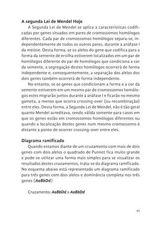 45
A segunda Lei de Mendel Hoje
A Segunda Lei de Mendel se aplica a características codifi-
cadas por genes situados em pares de cromossomos homólogos
diferentes. Cada par de cromossomos homólogos separa-se, in-
dependentemente de todos os outros pares, durante a anáfase I
da meiose. Desta forma, se os alelos do gene que codifica para a
forma da semente de ervilha estiverem localizados em um par de
homólogos diferente do par de homólogos que condiciona a cor
da semente, a segregação destes homólogos ocorrerá de forma
independente e, consequentemente, a separação dos alelos dos
dois genes também ocorrerá de forma independente.
No entanto, se os genes que condicionam a forma e a cor da
semente estiverem em um mesmo par de cromossomos homólo-
gos estes migrarão juntos durante a anáfase I e ficarão no mesmo
gameta, a menos que ocorra crossing-over (ou recombinação)
entre eles. Desta forma, a Segunda Lei de Mendel, não é tão geral
quanto Mendel acreditava, sendo válida somente para casos em
que os genes estão em cromossomos homólogos diferentes ou
quando a localização destes genes num mesmo cromossomo é
distante a ponto de ocorrer crossing-over entre eles.
Diagrama ramificado
Quando estamos diante de um cruzamento com mais de dois
genes com dois alelos o quadrado de Punnet fica muito grande
e pode-se utilizar uma forma mais simples para se visualizar os
resultados destes cruzamentos, trata-se do diagrama ramificado.
No esquema abaixo está representado um diagrama ramificado
para três genes com dois alelos e dominância completa nos três
genes (AaBbDd)
Cruzamento: AaBbDd x AaBbDd
 
