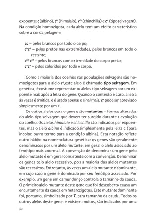 54
expoente: c (albino), ch
(himalaio), cch
(chinchilla) e c+
(tipo selvagem).
Na condição homozigota, cada alelo tem um efeito característico
sobre a cor da pelagem:
cc – pelos brancos por todo o corpo;
ch
ch
– pelos pretos nas extremidades, pelos brancos em todo o
restante;
cch
cch
– pelos brancos com extremidade do corpo pretas;
c+
c+
– pelos coloridos por todo o corpo.
Como a maioria dos coelhos nas populações selvagens são ho-
mozigotos para o alelo c+
,este alelo é chamado tipo selvagem. Em
genética, é costume representar os alelos tipo selvagem por um ex-
poente mais após a letra do gene. Quando o contexto é claro, a letra
às vezes é omitida, e é usado apenas o sinal mais, c+
pode ser abreviado
simplesmente por um +.
Os outros alelos para o gene c são mutantes – formas alteradas
do alelo tipo selvagem que devem ter surgido durante a evolução
do coelho. Os alelos himalaio e chinchilla são indicados por expoen-
tes, mas o alelo albino é indicado simplesmente pela letra c (para
incolor, outro termo para a condição albina). Esta notação reflete
outro hábito na nomenclatura genética: os genes são geralmente
denominados por um alelo mutante, em geral o alelo associado ao
fenótipo mais anormal. A convenção de denominar um gene pelo
alelo mutante é em geral consistente com a convenção. Denominar
os genes pelo alelo recessivo, pois a maioria dos alelos mutantes
são recessivos. Entretanto, às vezes um alelo mutante é dominante,
em cujo caso o gene é dominado por seu fenótipo associado. Por
exemplo, um gene em camundongo controla o tamanho da cauda.
O primeiro alelo mutante deste gene que foi descoberto causa um
encurtamento da cauda em heterozigotos. Este mutante dominante
foi, portanto, simbolizado por T, para tamanho da cauda. Todos os
outros alelos deste gene, e existem muitos, são indicados por uma
 