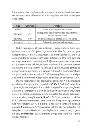 55
letra maiúscula e minúscula, dependendo de serem dominantes ou
recessivos; alelos diferentes são distinguidos uns dos outros por
expoentes.
Tipo Genótipo Fenótipo
Albino cc Pelos brancos por todo o corpo
Himalaio ch
ch Pelos pretos nas extremidades, pelos brancos
no restante do corpo
Chinchila cch
cch
Pelos brancos com pontas pretas no corpo
Selvagem c+
c+
Pelos coloridos por todo o corpo
Outro exemplo de alelos múltiplos vem do estudo de tipos san-
guíneos humanos. Os tipos sanguíneos A, B, AB e O, como os tipos
sanguíneos M, N e MN já discutidos, são identificados testando-se
uma amostra de sangue com soros diferentes. Um soro detecta
o antígeno A; outro, o antígeno B. Quando apenas o antígeno A
está presente nas células, o tipo sanguíneo é A; quando apenas
o antígeno B está presente, o sangue é tipo B. Quando ambos os
antígenos estão presentes, o sangue é tipo AB e, quando nenhum
antígeno está presente, o tipo é O. O tipo sanguíneo para os antíge-
nos A e B é totalmente independente dos tipos de antígenos M e N.
O gene responsável por produzir os antígenos A e B é indicado
pela letra I. Este gene tem três alelos, IA
, IB
e i. O alelo IA
especifica
a produção do antígeno A e o alelo IB
especifica a produção do
antígeno B. Entretanto, o alelo i não especifica um antígeno. Entre
os seis genótipos possíveis, existem quatro fenótipos distinguí-
veis – os tipos sangüíneos A, B, AB e O. Neste sistema, os alelos
IA
e IB
são co-dominantes, pois cada um é expresso igualmente
nos heterozigotos IA
IB
, e o alelo i é recessivo tanto em relação
ao alelo IA
quanto ao IB
. Todos os três alelos são encontrados em
frequências apreciáveis em populações humanas; assim, o gene
I é dito polimórfico, para a palavra grega que significa “tendo
muitas formas”.
 