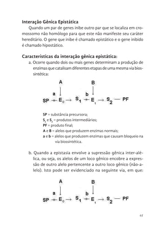 61
Interação Gênica Epistática
Quando um par de genes inibe outro par que se localiza em cro-
mossomo não homólogo para que este não manifeste seu caráter
hereditário. O gene que inibe é chamado epistático e o gene inibido
é chamado hipostático.
Características da interação gênica epistática:
a. Ocorre quando dois ou mais genes determinam a produção de
enzimasquecatalisamdiferentesetapasdeumamesmaviabios-
sintética:
SP = substância precursora;
S1
e S2
= produtos intermediários;
PF = produto final;
A e B = alelos que produzem enzimas normais;
a e b = alelos que produzem enzimas que causam bloqueio na
via biossintética.
b. Quando a epistasia envolve a supressão gênica inter-alé-
lica, ou seja, os alelos de um loco gênico encobre a expres-
são de outro alelo pertencente a outro loco gênico (não-a-
lelo). Isto pode ser evidenciado na seguinte via, em que:
hereditário. O gene que inibe é chamado epistático e o gene in
chamado hipostático.
Características da interação gênica epistática:
a) Ocorre quando dois ou mais genes determinam a produção de e
que catalisam diferentes etapas de uma mesma via biossintética:
SP = substância precursora;
S1 e S2 = produtos intermediários;
PF = produto final;
A e B = alelos que produzem enzimas normais;
a e b = alelos que produzem enzimas que causam bloqueio
biossintética.
b) Quando a epistasia envolve a supressão gênica inter-alélica, ou
alelos de um loco gênico encobre a expressão de outro alelo perten
outro loco gênico (não-alelo). Isto pode ser evidenciado na seguinte
que:
Características da interação gênica epistática:
a) Ocorre quando dois ou mais genes determinam a produção de en
que catalisam diferentes etapas de uma mesma via biossintética:
SP = substância precursora;
S1 e S2 = produtos intermediários;
PF = produto final;
A e B = alelos que produzem enzimas normais;
a e b = alelos que produzem enzimas que causam bloqueio n
biossintética.
b) Quando a epistasia envolve a supressão gênica inter-alélica, ou se
alelos de um loco gênico encobre a expressão de outro alelo pertence
outro loco gênico (não-alelo). Isto pode ser evidenciado na seguinte vi
que:
SP = determina ausência de cor; (branco)
S1 = determina a cor amarela;
 
