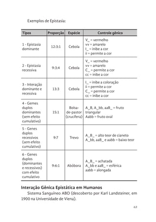 63
Exemplos de Epistasia:
Tipos Proporção Espécie Controle gênico
1 - Epistasia
dominante
12:3:1 Cebola
V_ = vermelho
vv = amarelo
I_ = inibe a cor
ii = permite a cor
2 - Epistasia
recessiva
9:3:4 Cebola
V_ = vermelho
vv = amarelo
C_ = permite a cor
cc = inibe a cor
3 - Interação
dominante e
recessiva
13:3 Cebola
I_ = inibe a coloração
ii = permite a cor
C_ = permite a cor
cc = inibe a cor
4 - Gemes
duplos
dominantes
(sem efeito
cumulativo)
15:1
Bolsa-
de-pastor
(crucífera)
A_B, A_bb, aaB_ = fruto
triangular
Aabb = fruto oval
5 - Genes
duplos
recessivos
(sem efeito
cumulativo)
9:7 Trevo
A_B_ = alto teor de cianeto
A_bb, aaB_ e aabb = baixo teor
6 - Genes
duplos
(dominantes
e recessivos)
com efeito
cumulativo
9:6:1 Abóbora
A_B_ = achatada
A_bb e aaB_ = esférica
aabb = alongada
Interação Gênica Epistática em Humanos
Sistema Sanguíneo ABO (descoberto por Karl Landsteiner, em
1900 na Universidade de Viena).
 